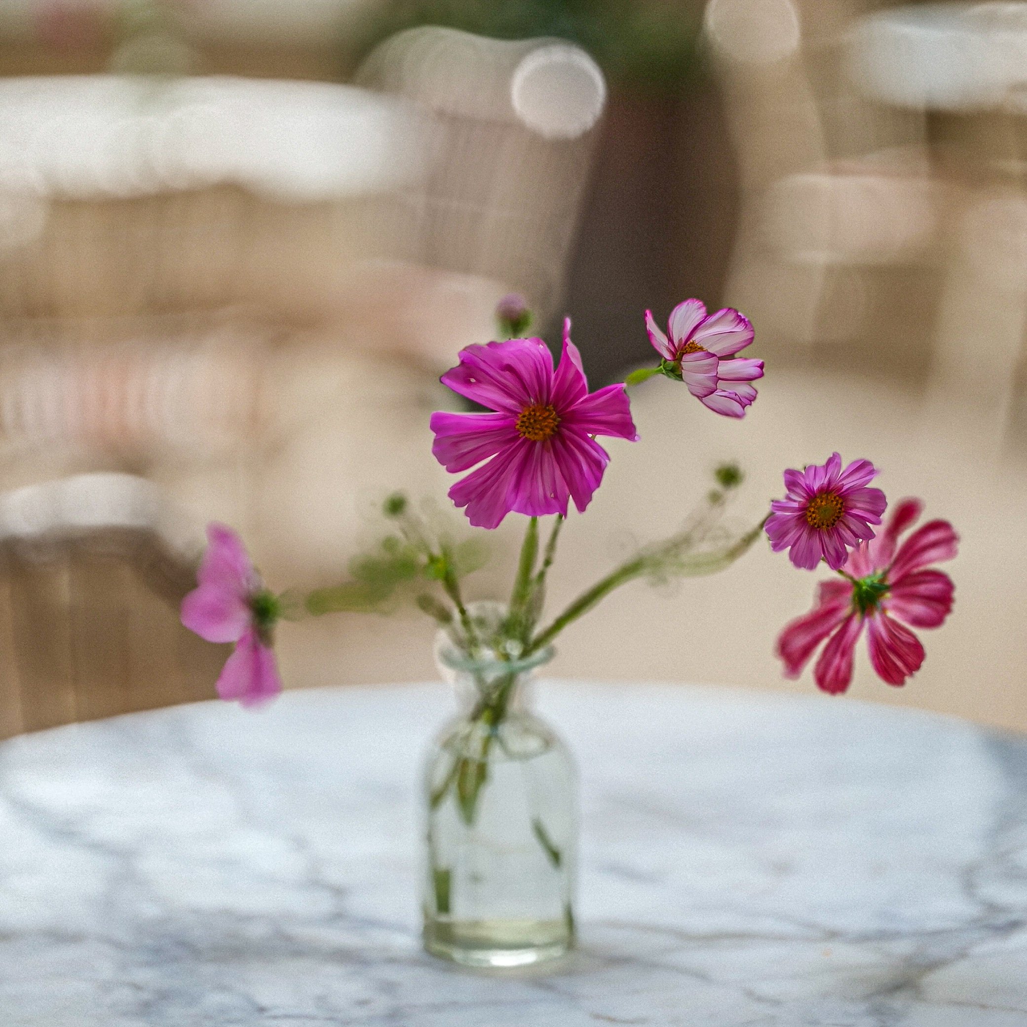 260912_Missive_Lunch_02.jpg