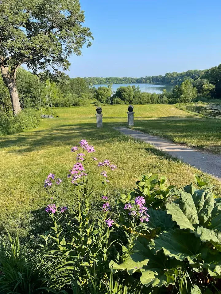 View from the backyard towards the lake