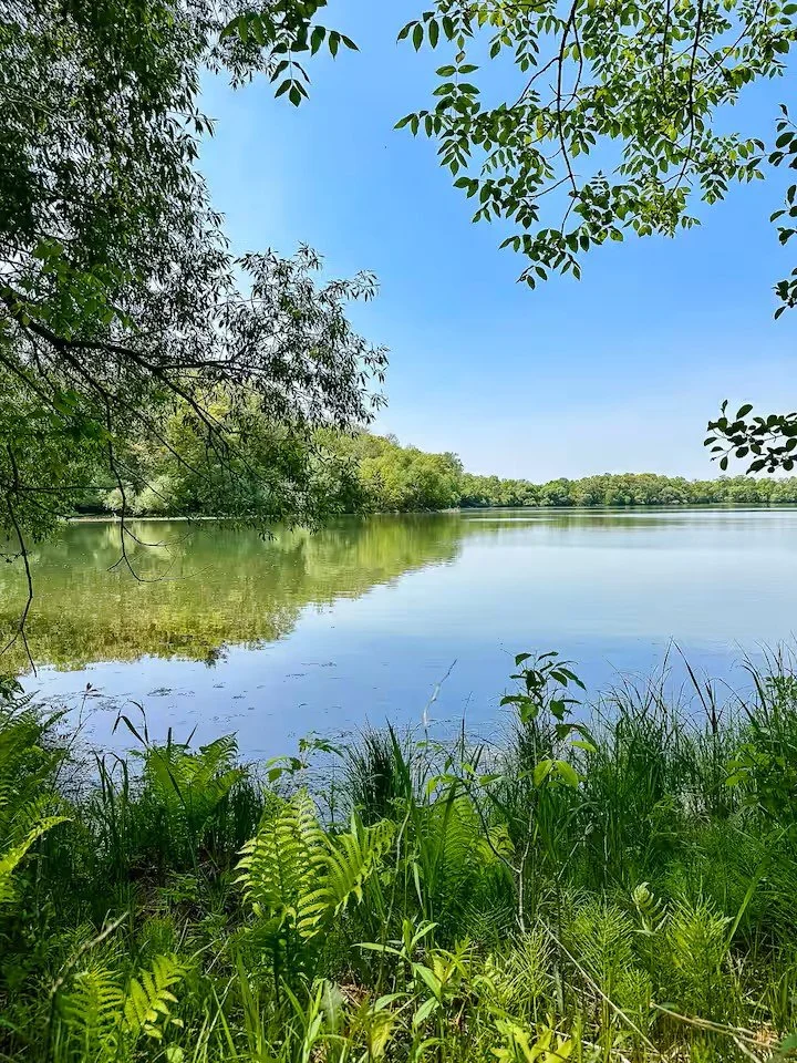 Lake Osceola