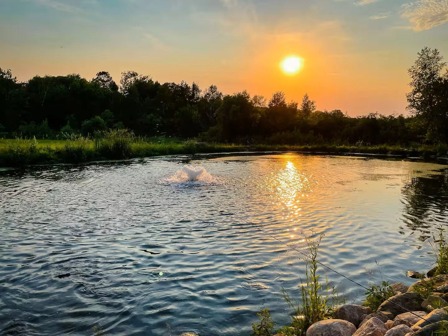 Trout pond on property