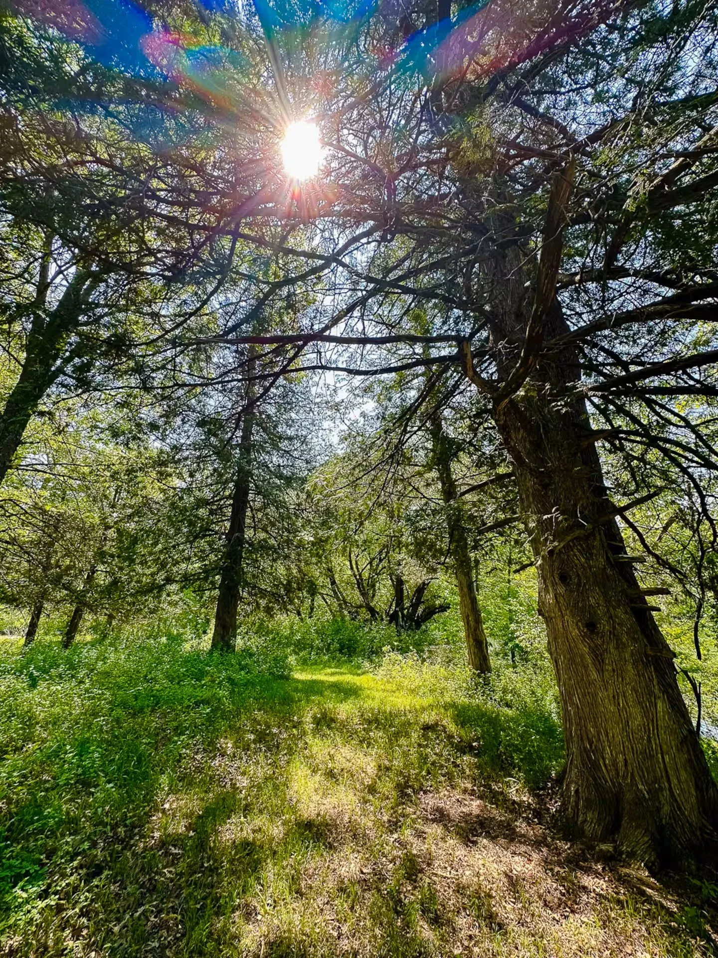 Nature trails in 100 acres of private woods