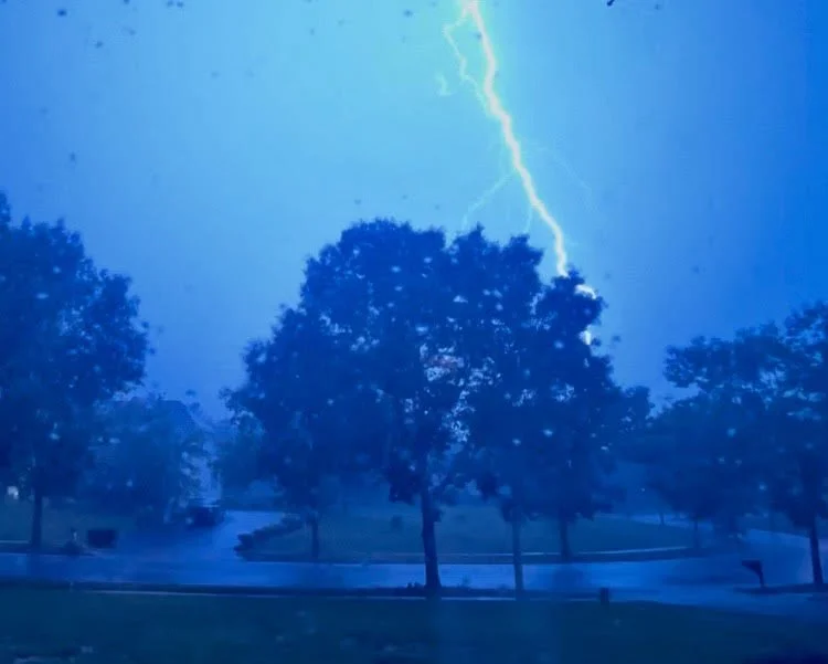 The Importance of Consulting a Meteorologist