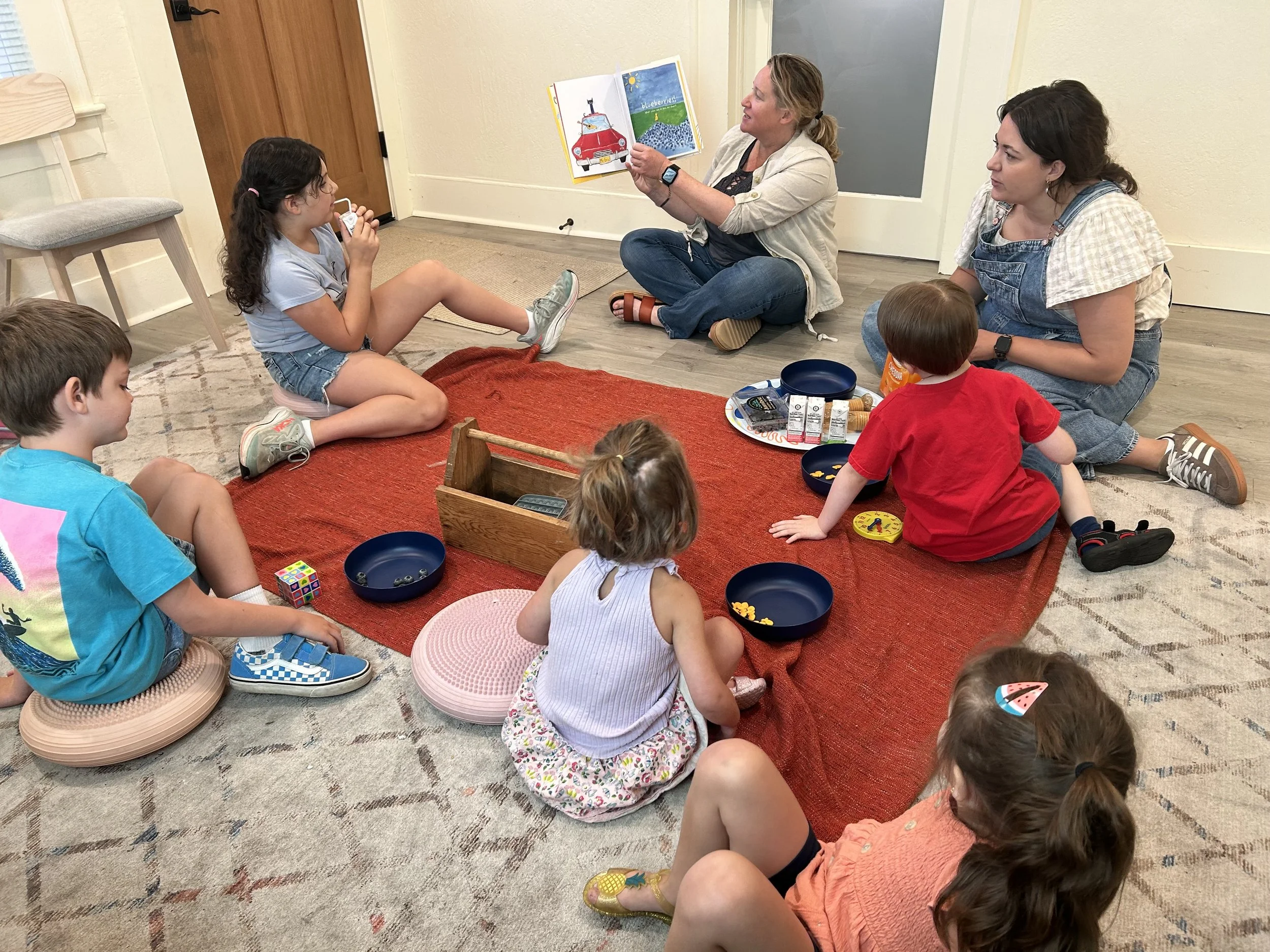 Social Skills Groups