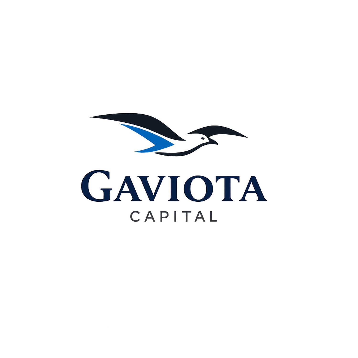 Gaviota Capital 