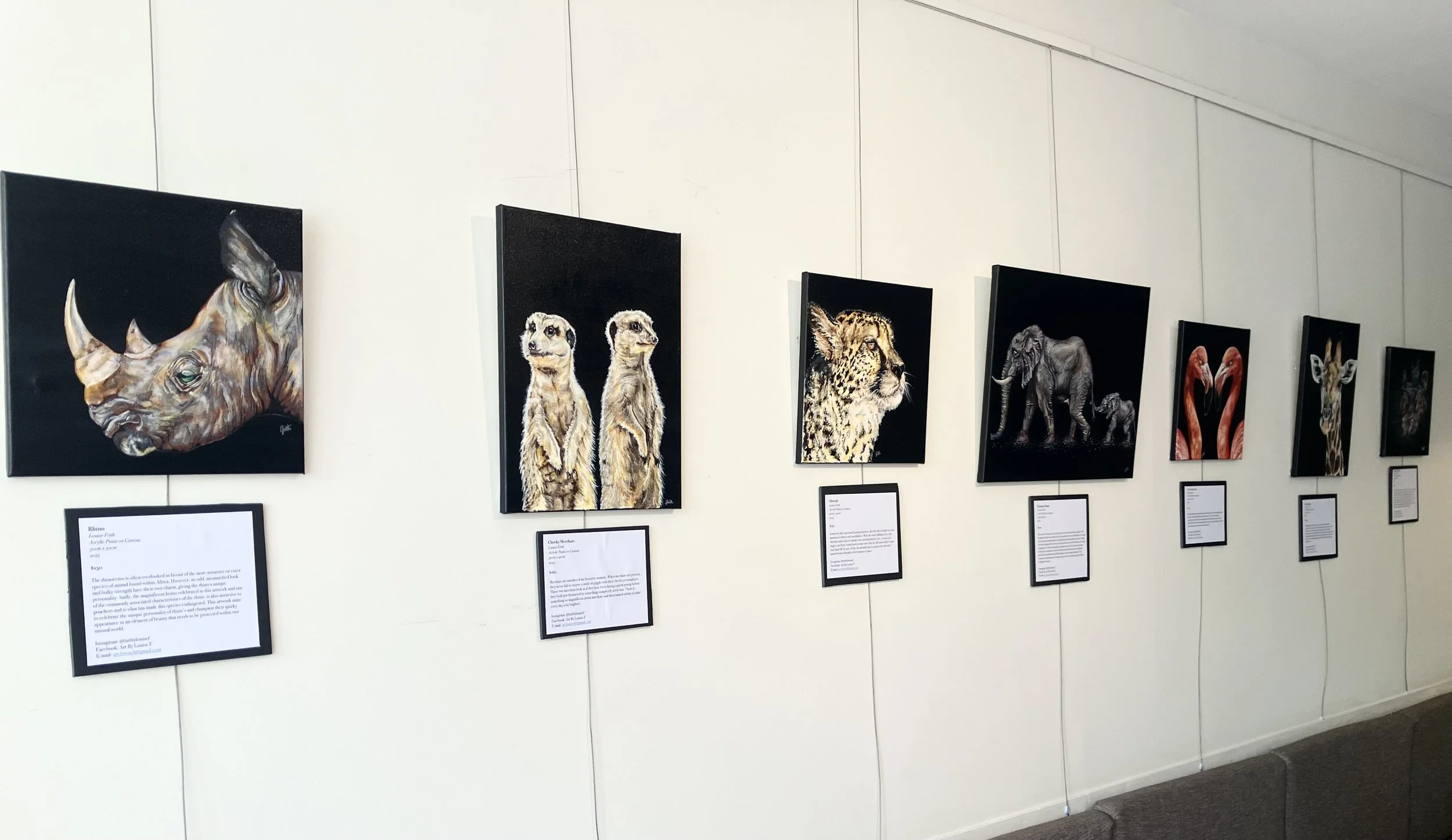 'Step into Africa' wall display, featuring an exhibition display of seven acrylic paintings featuring a variety of African Animals, including paintings of a rhino, meerkats, cheetah, elephants, flamingos, giraffes and a hippo.
