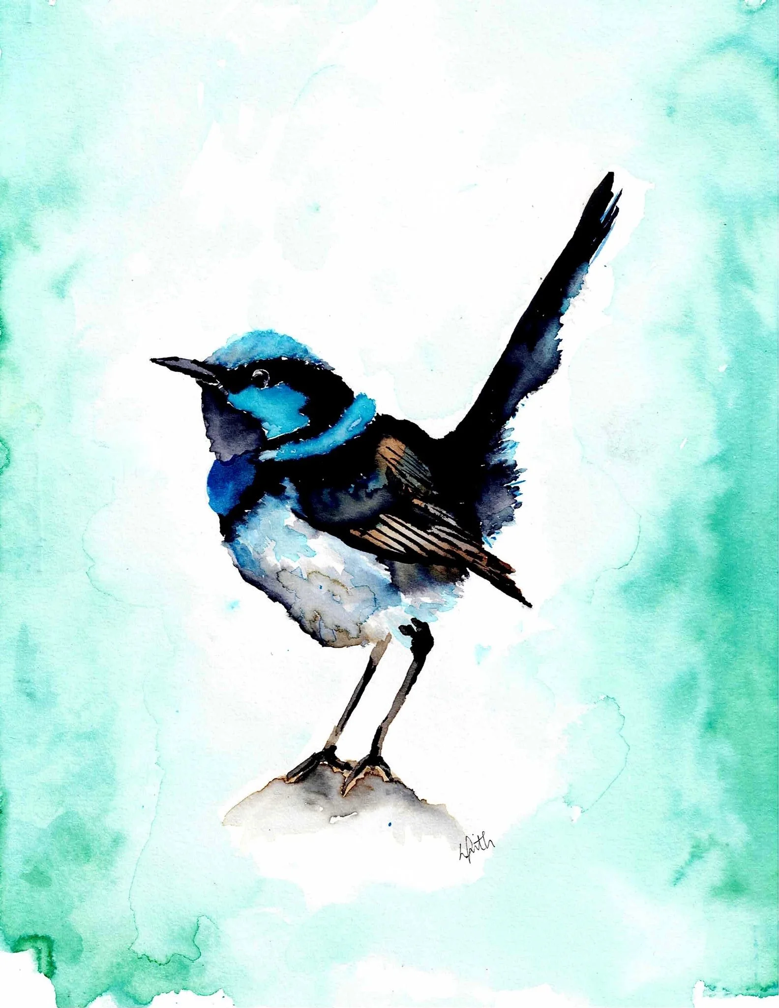 Australian Fairy Wren artwork completed using coloured ink on paper. This fairywren artwork is created by Australian artist Louise Frith in 2024.