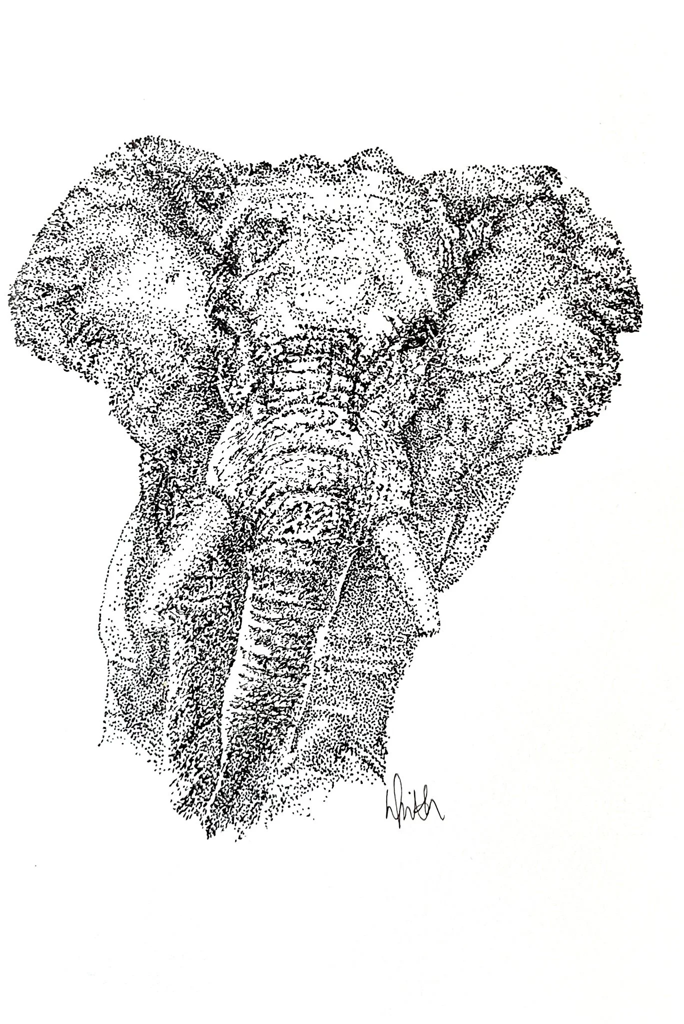 The Wisdom of Elephants (Stippling Elephant)