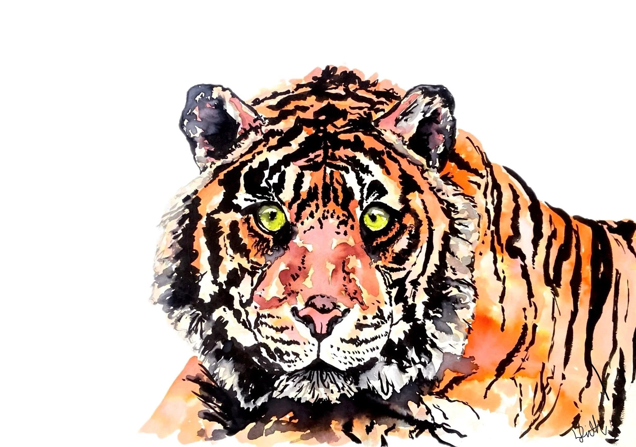 Coloured alcohol ink or liquid brush marker tiger painting, bringing awareness to endangered animal species. Created by Australian artist Louise Frith.