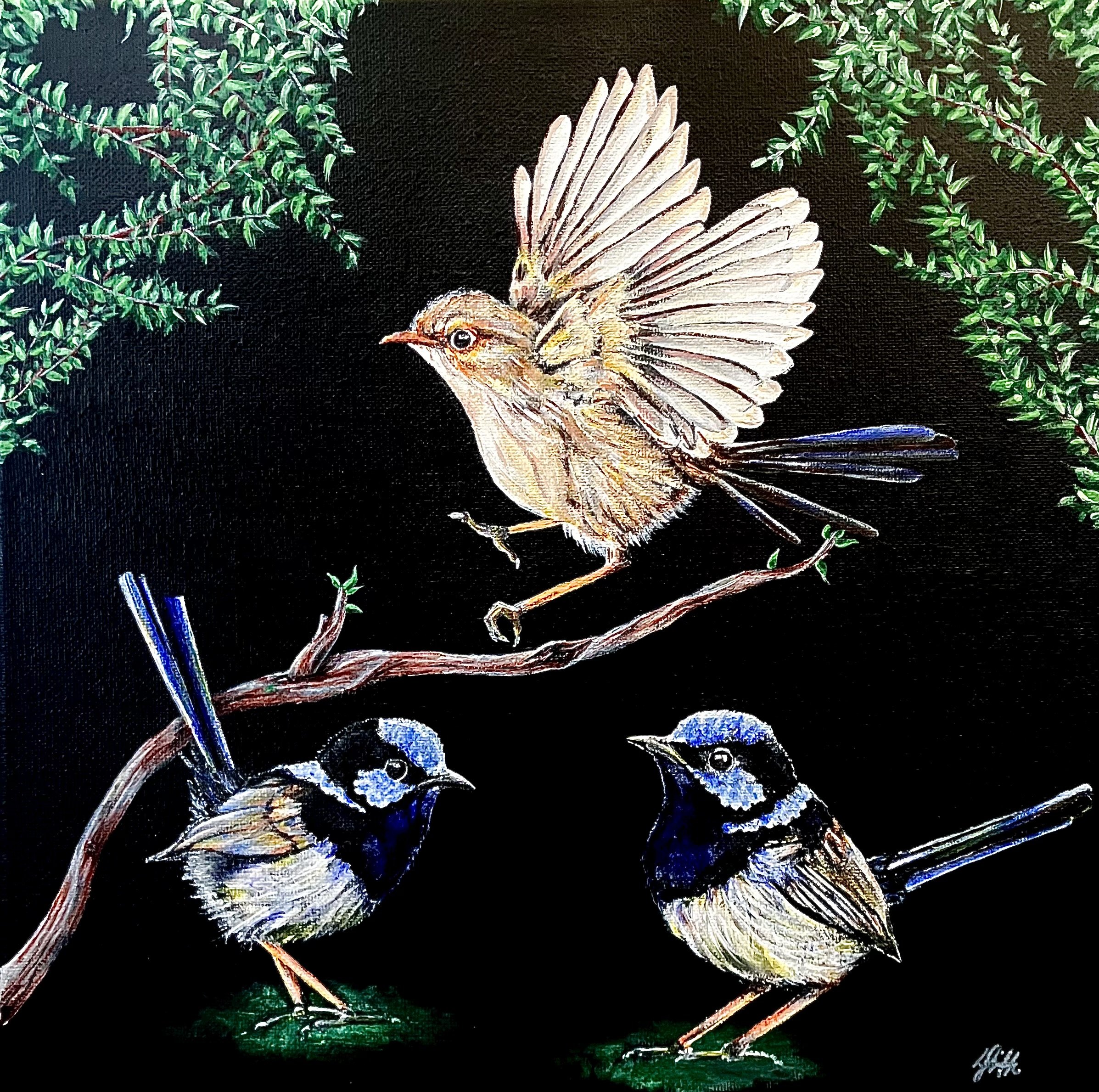 Brightly coloured acrylic painted Australian fairy wren painting, featuring two male fairy wrens and one flying female wren. Created by Australian artist Louise Frith.