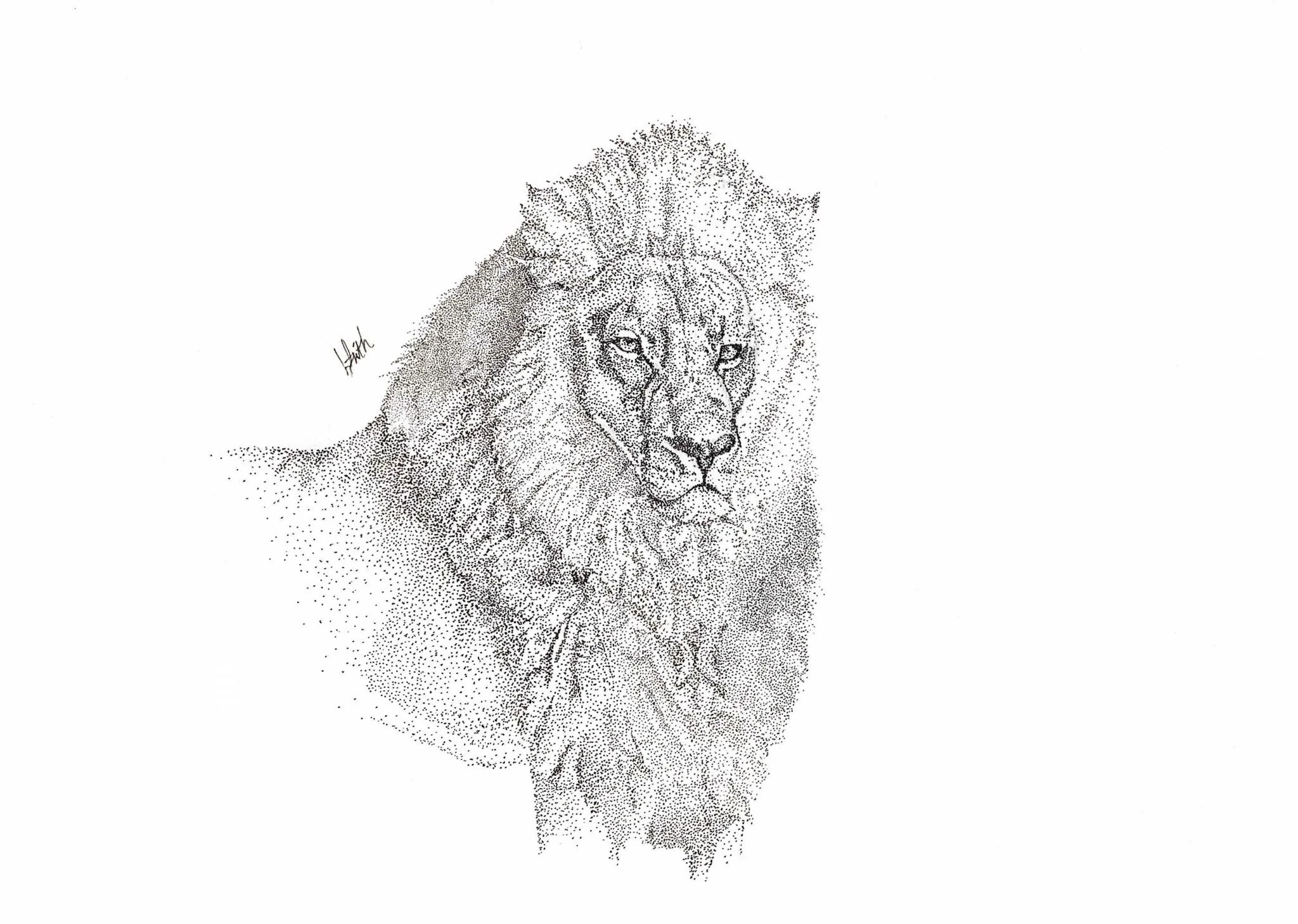 King of the Jungle (Stippling Lion)