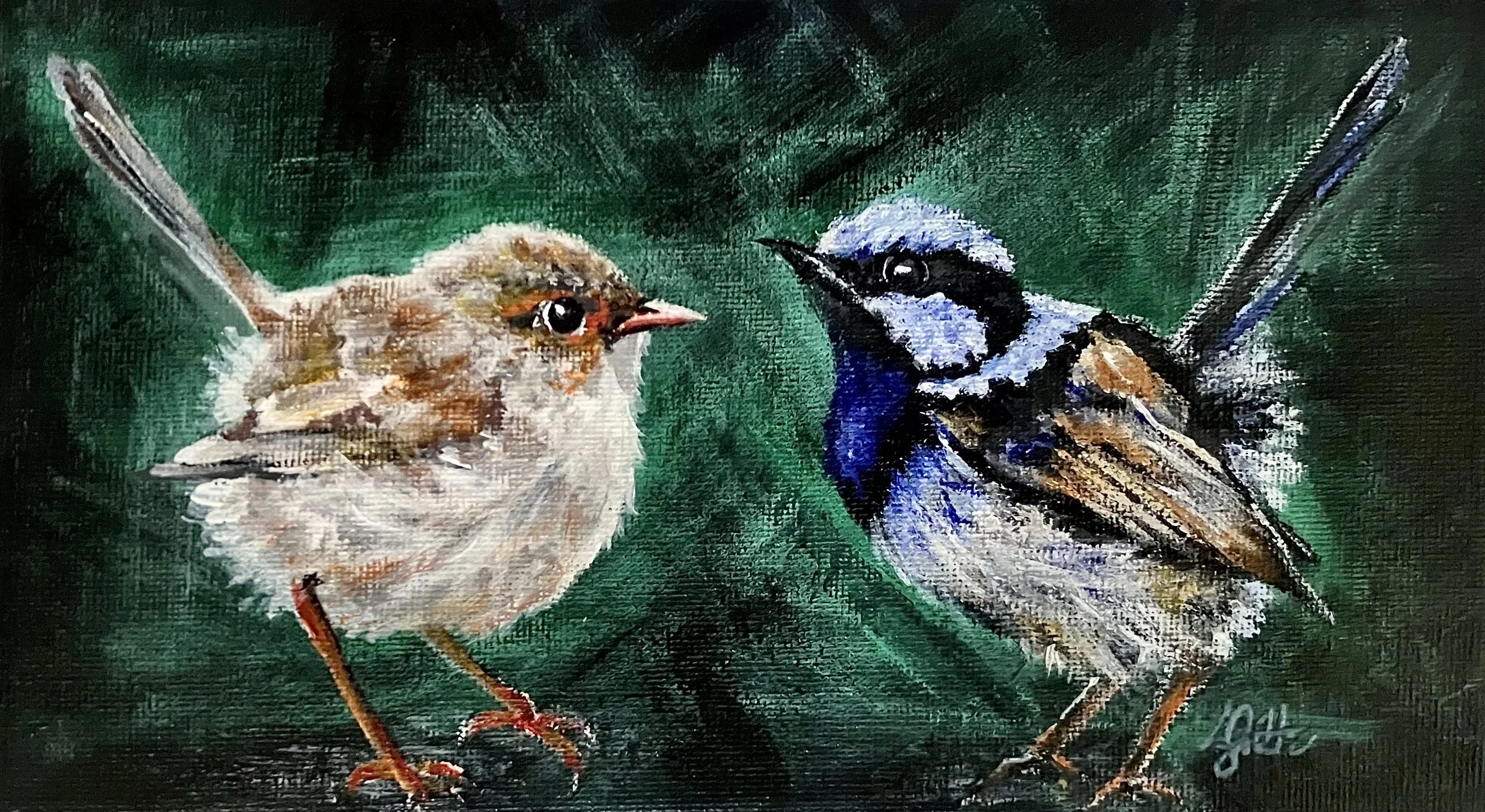 Brightly coloured acrylic painted Australian Fairy Wren painting, featuring a male and female fairy wren. Created by Australian artist Louise Frith.