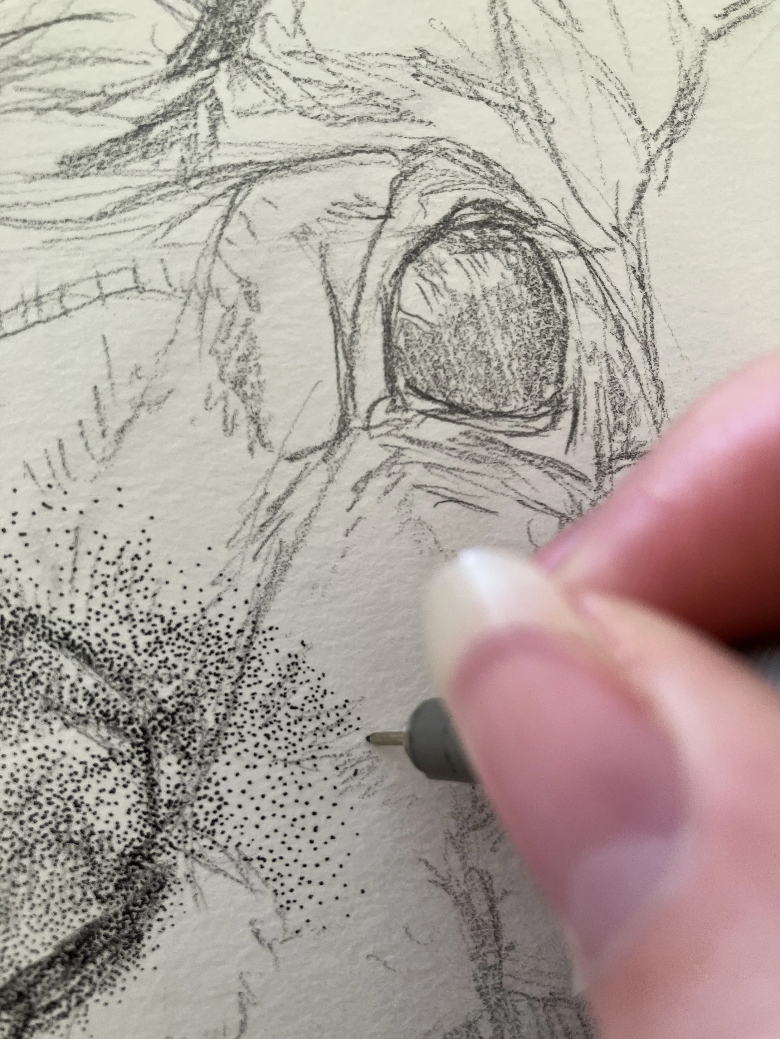 A close up image of stippling or dotting in process, in the creation of a stippling rabbit artwork. This artwork was created by Australian artist Louise Frith.