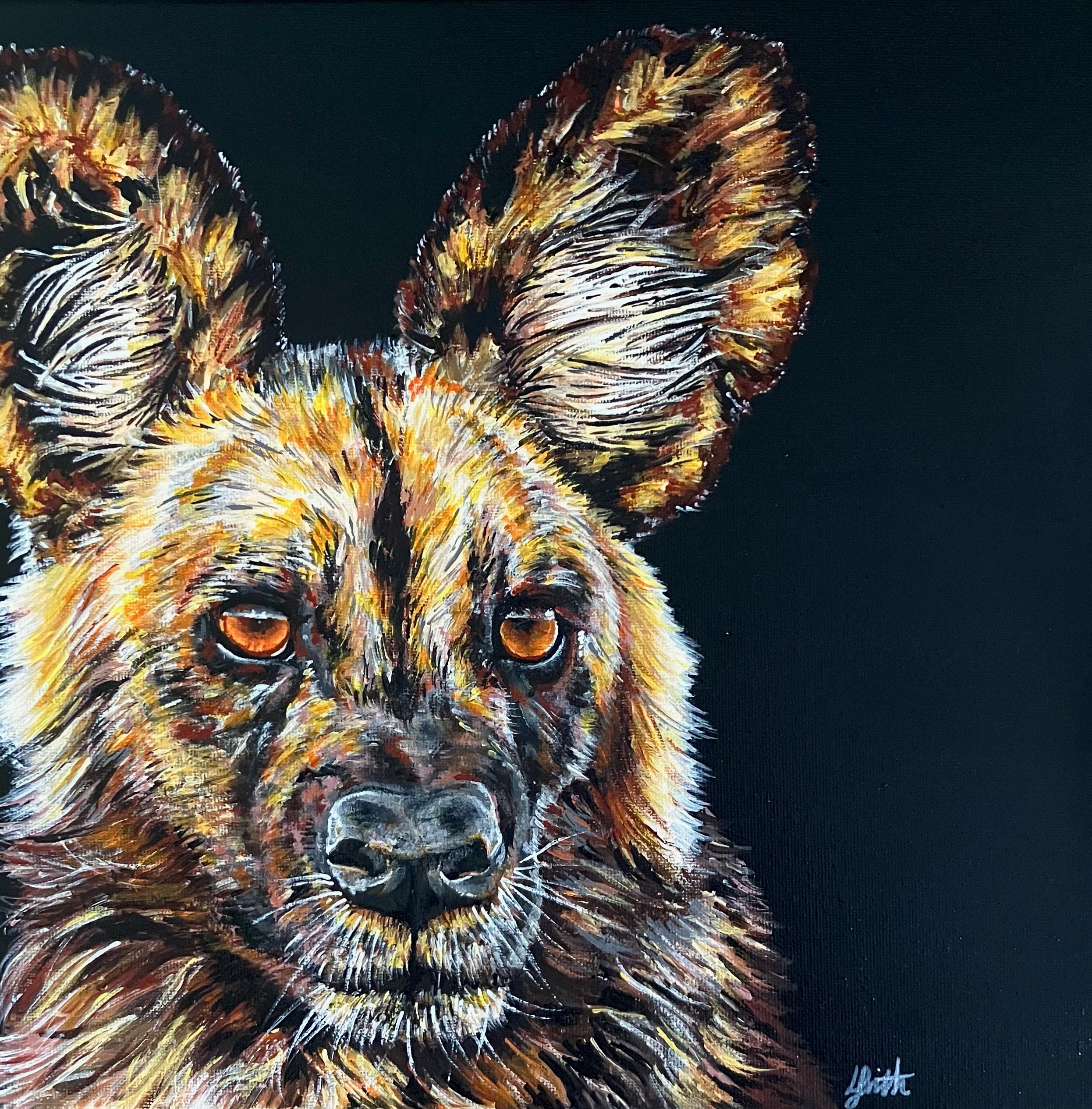 African Wild-Dog