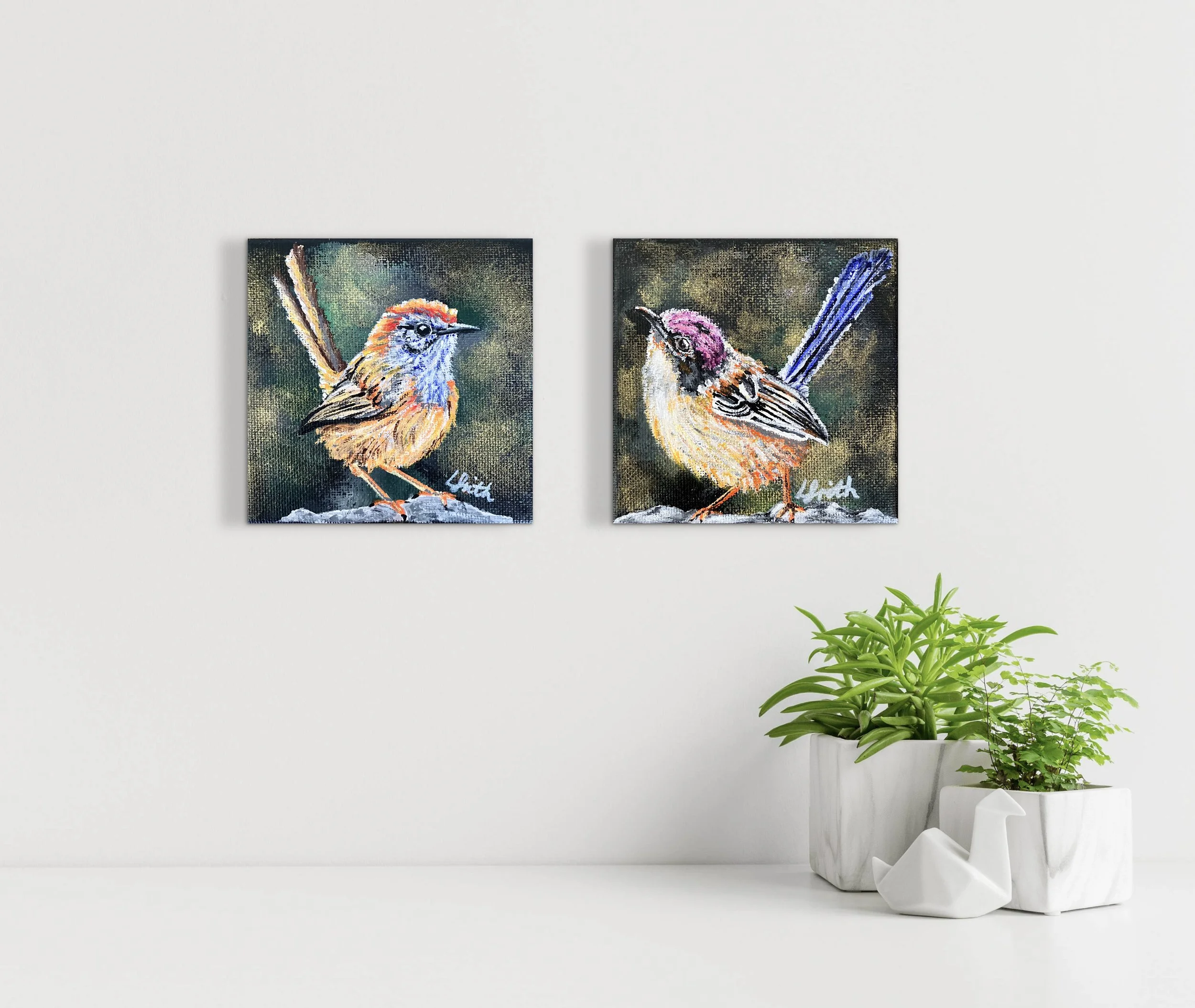 Endangered Australian Wrens (Tiny Canvas Duo)