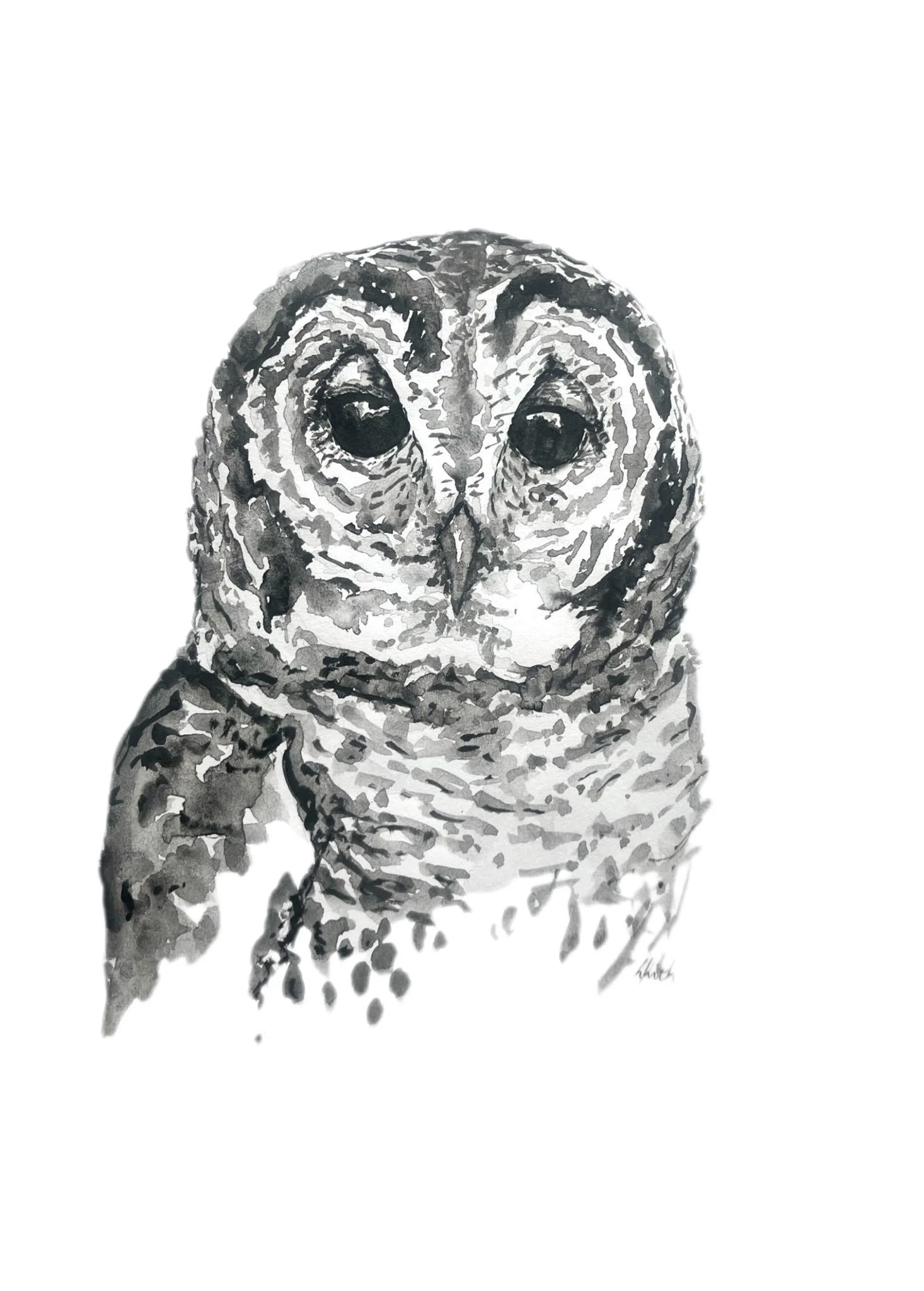 Ink wash or sumi ink owl drawing on paper symbolising wisdom. Created by Australian artist Louise Frith.