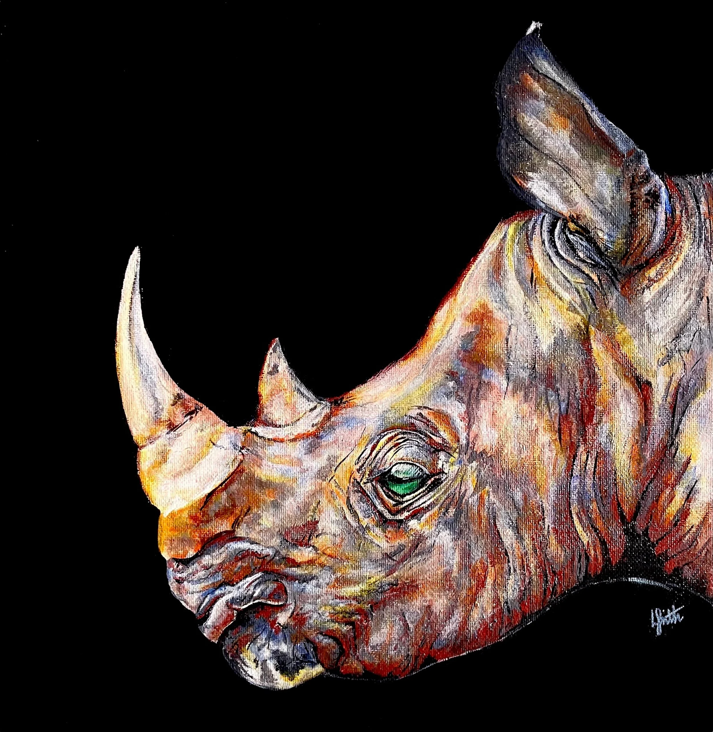 Rhino Canvas Print