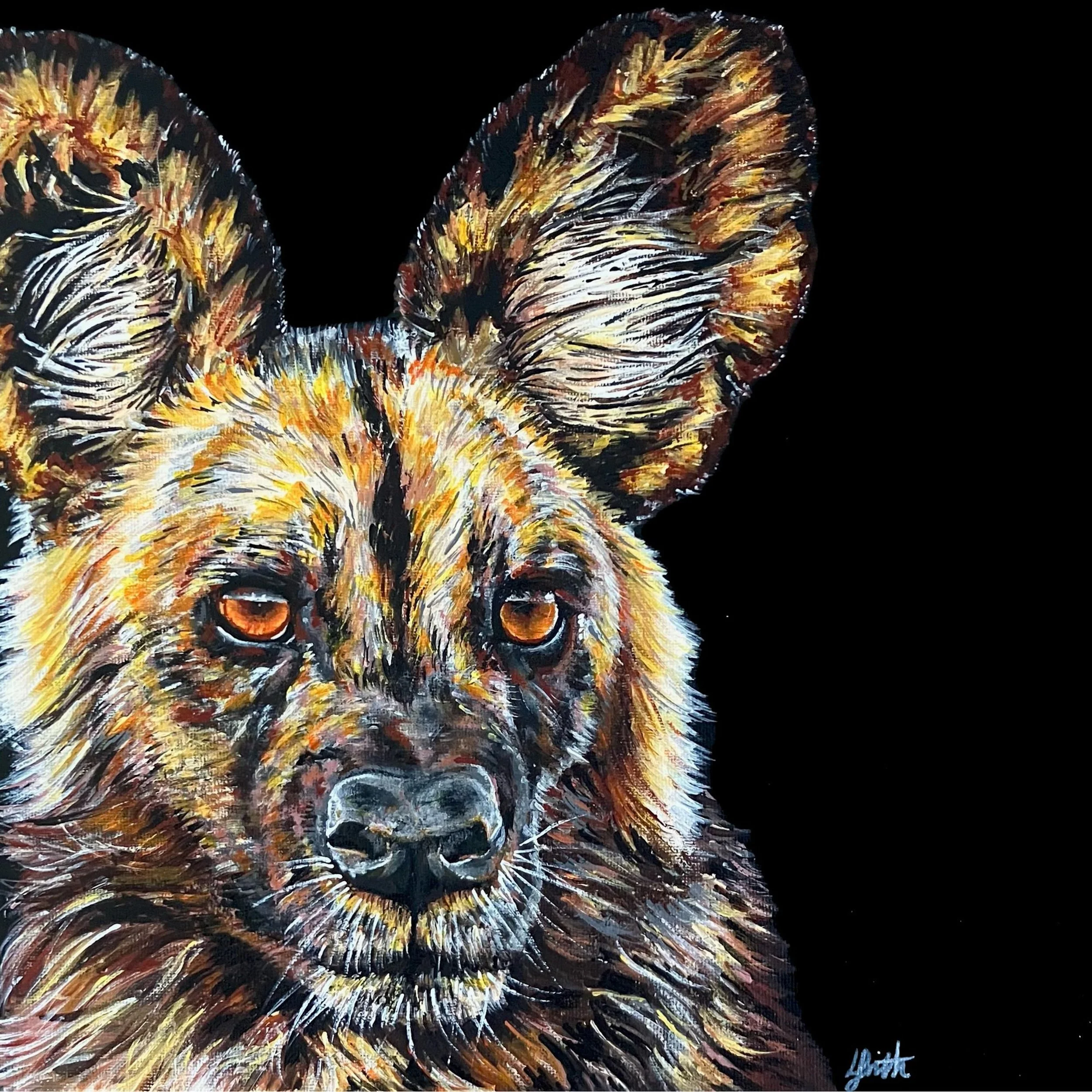 African Wilddog Canvas Print