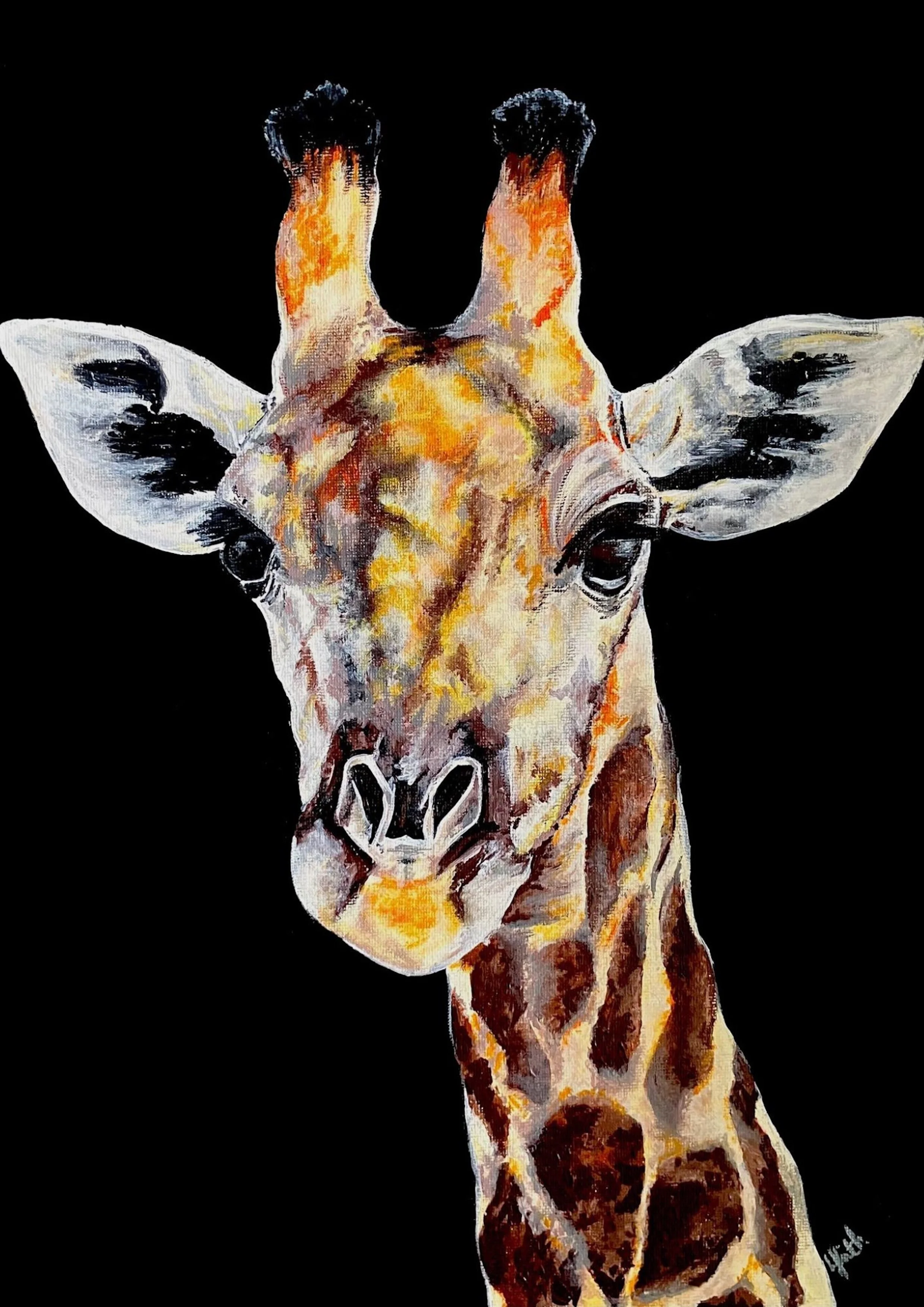Baby Giraffe Canvas Print