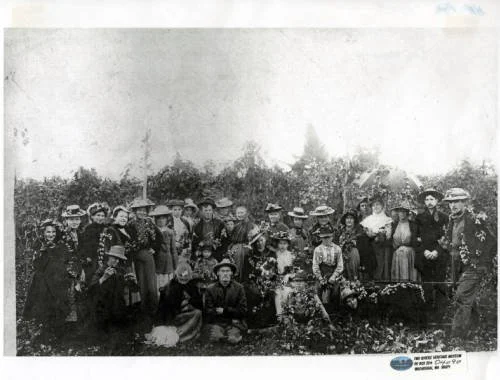Finding Your Roots: How to Trace your Family History