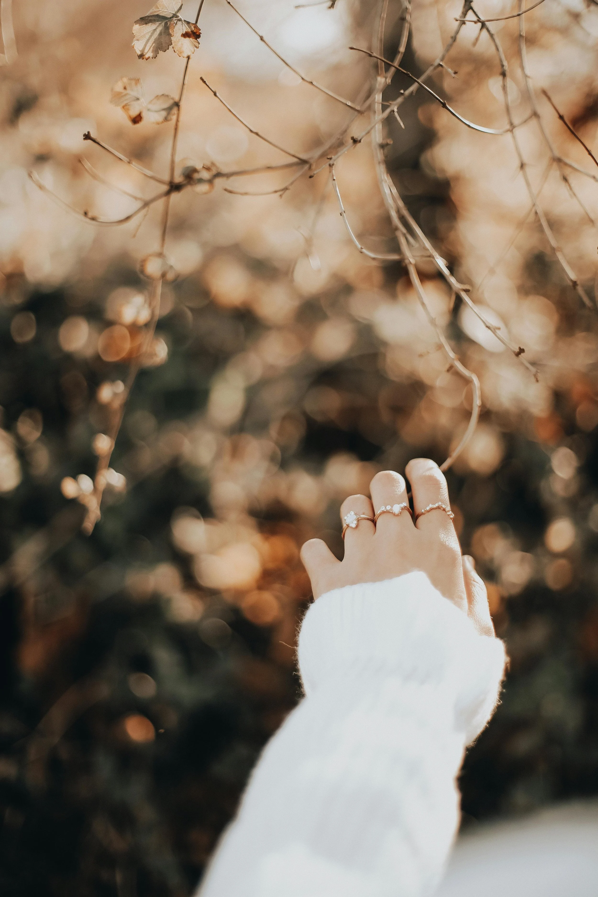 Close-up of a hand with rings reaching toward bare, thin tree branches in a blurred warm autumn background.