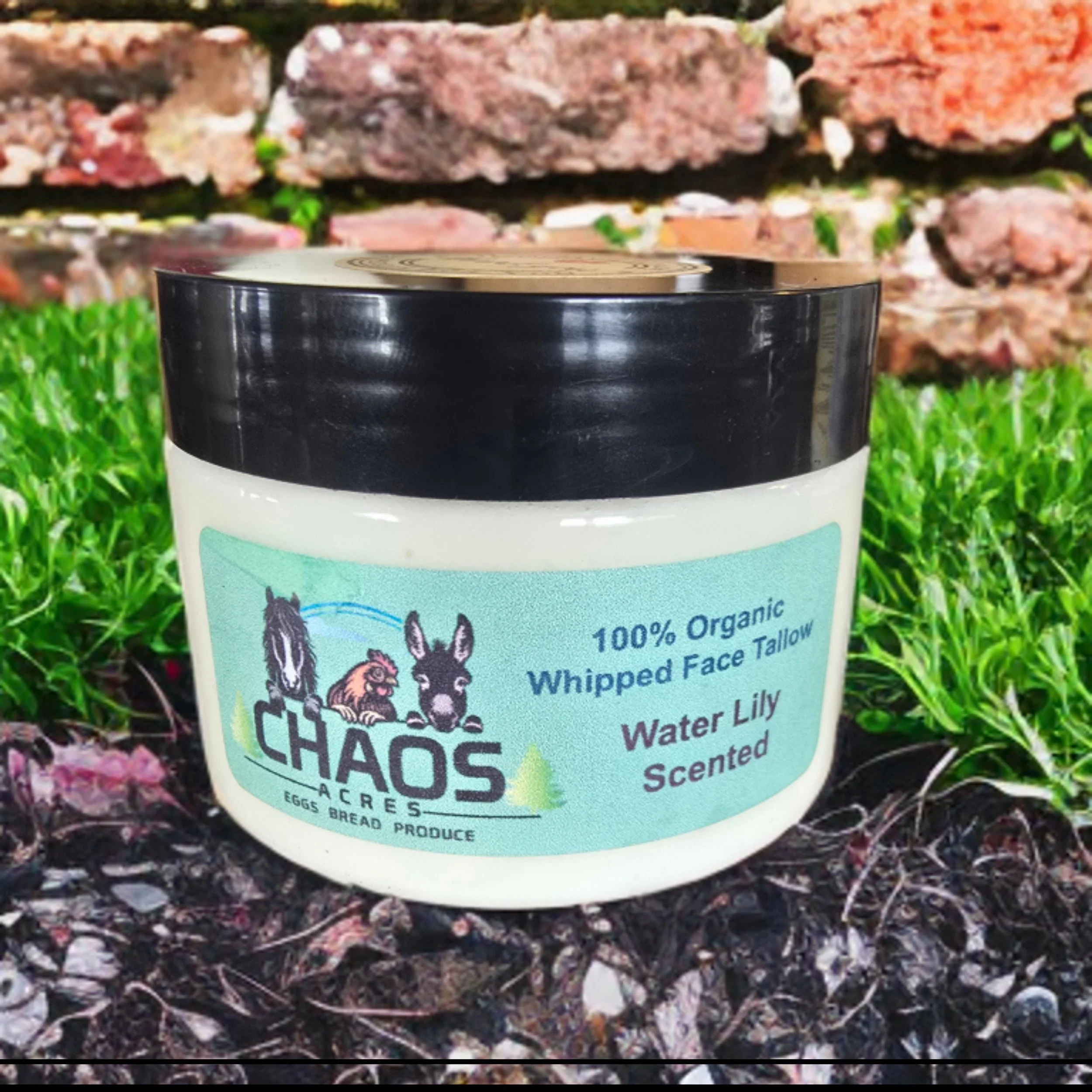 4 oz Grass-Fed Grass-Finished Beef Tallow Face Cream