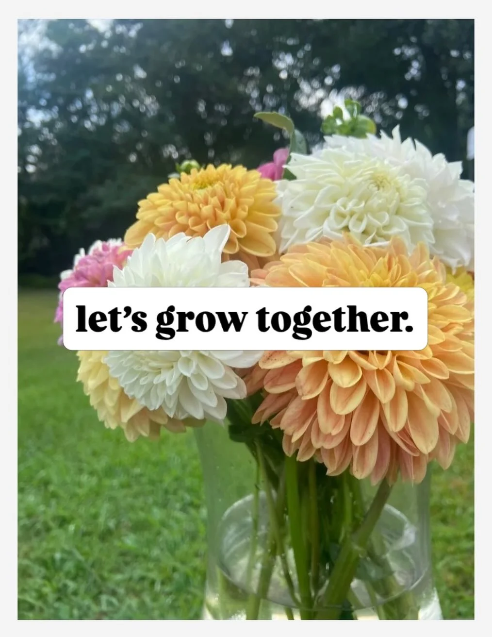 Our newsletter will be the best way to stay plugged in to all of the latest info for the farm! Follow the link to subscribe: https://www.saturdaysflowerfarm.com/contact