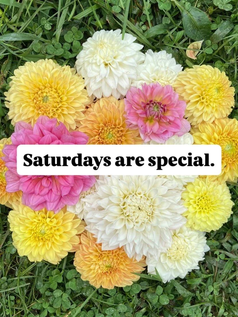 #saturdays are special. 

And are my favorite day of the week. They looks so different for everyone, but give us the time to prioritize our important things. Whether that is working hard to support your life and goals, or if it just means taking a br