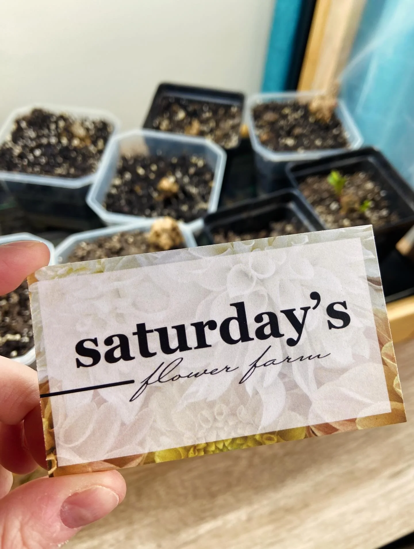 New #businesscards for the #flowerfarm are in!!! Let&rsquo;s connect and enjoy some flowers together! #dahlias #marylandflowerfarm #locallygrowncutflowers