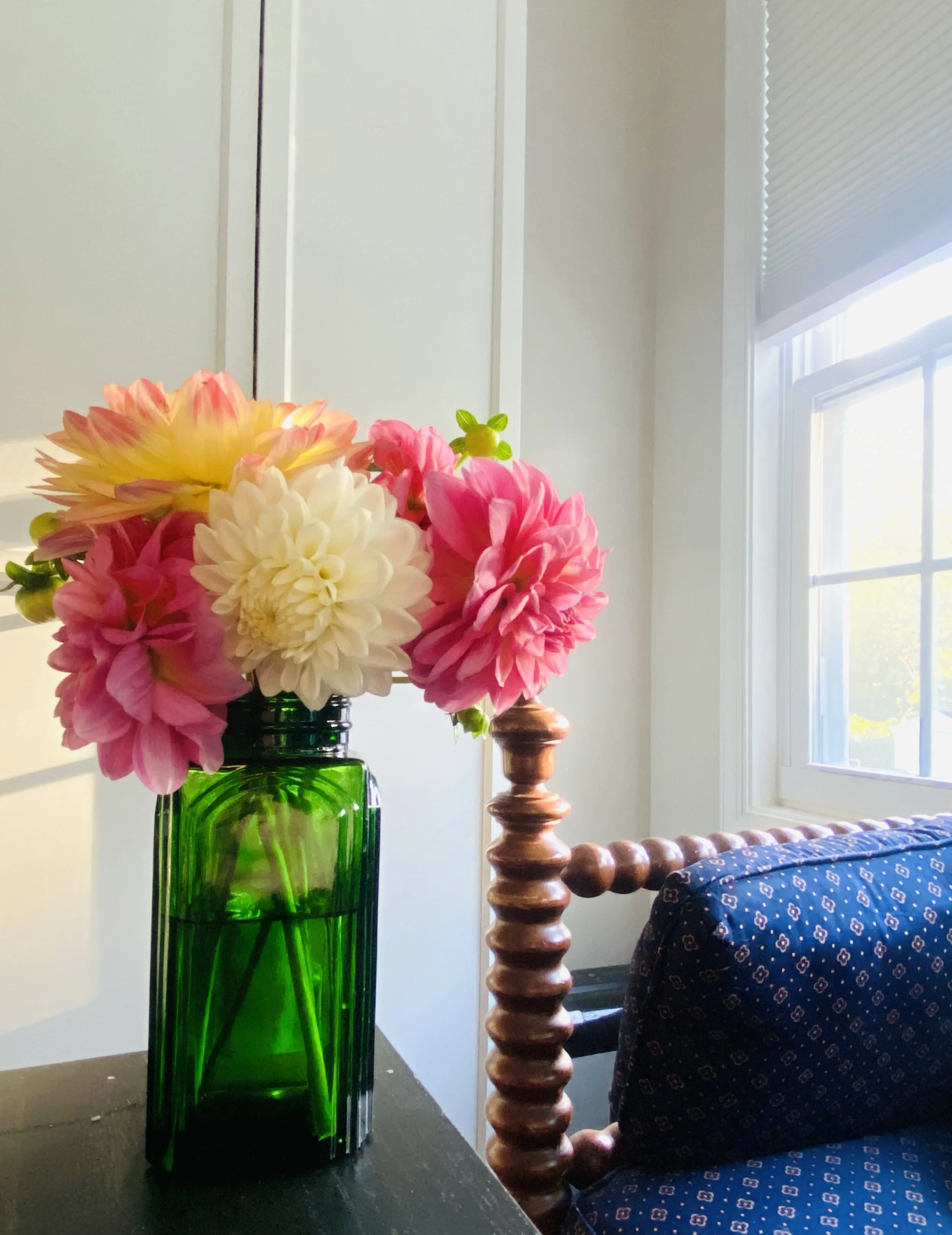 A Month of Saturdays Dahlia Subscription