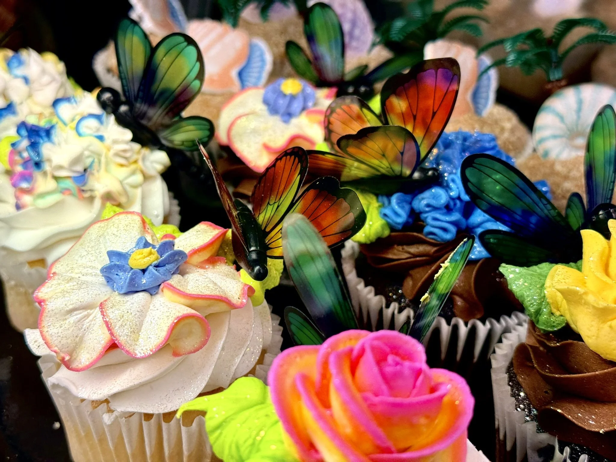 6_Cupcakes.jpeg