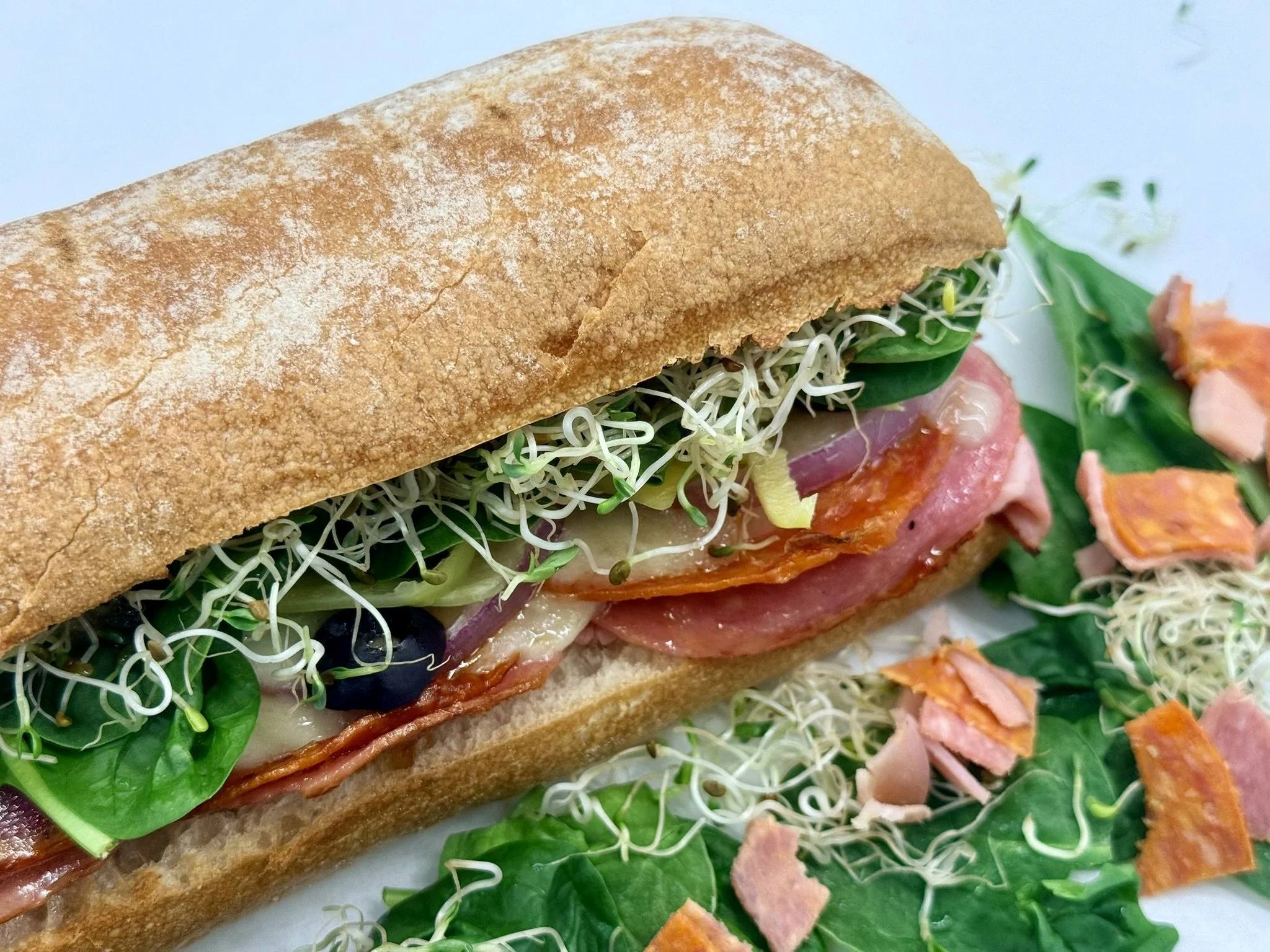 1_Panini.jpeg
