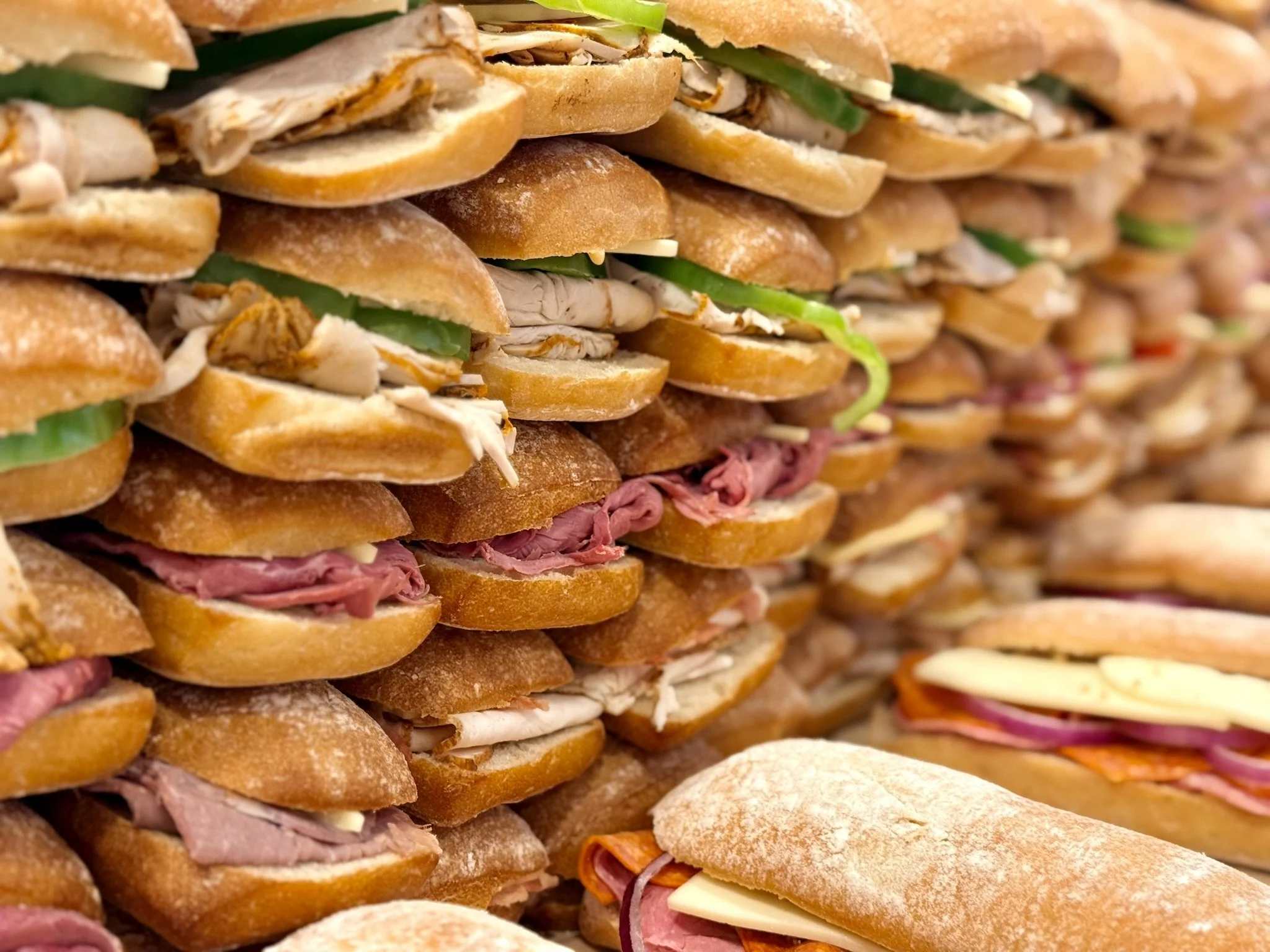 7_Bulk_Panini.jpeg