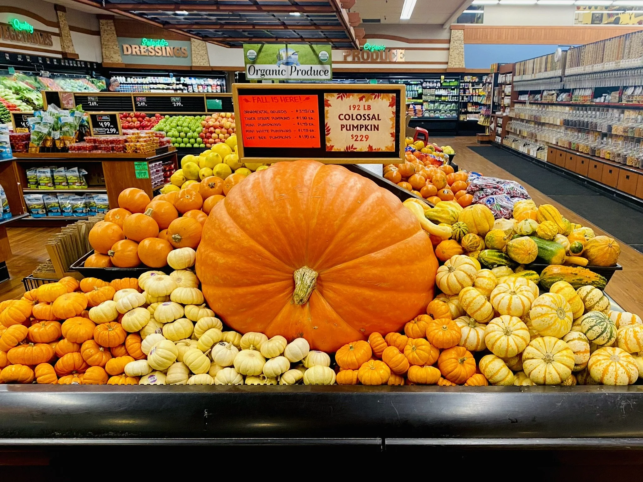 3_Pumpkins[1].jpeg