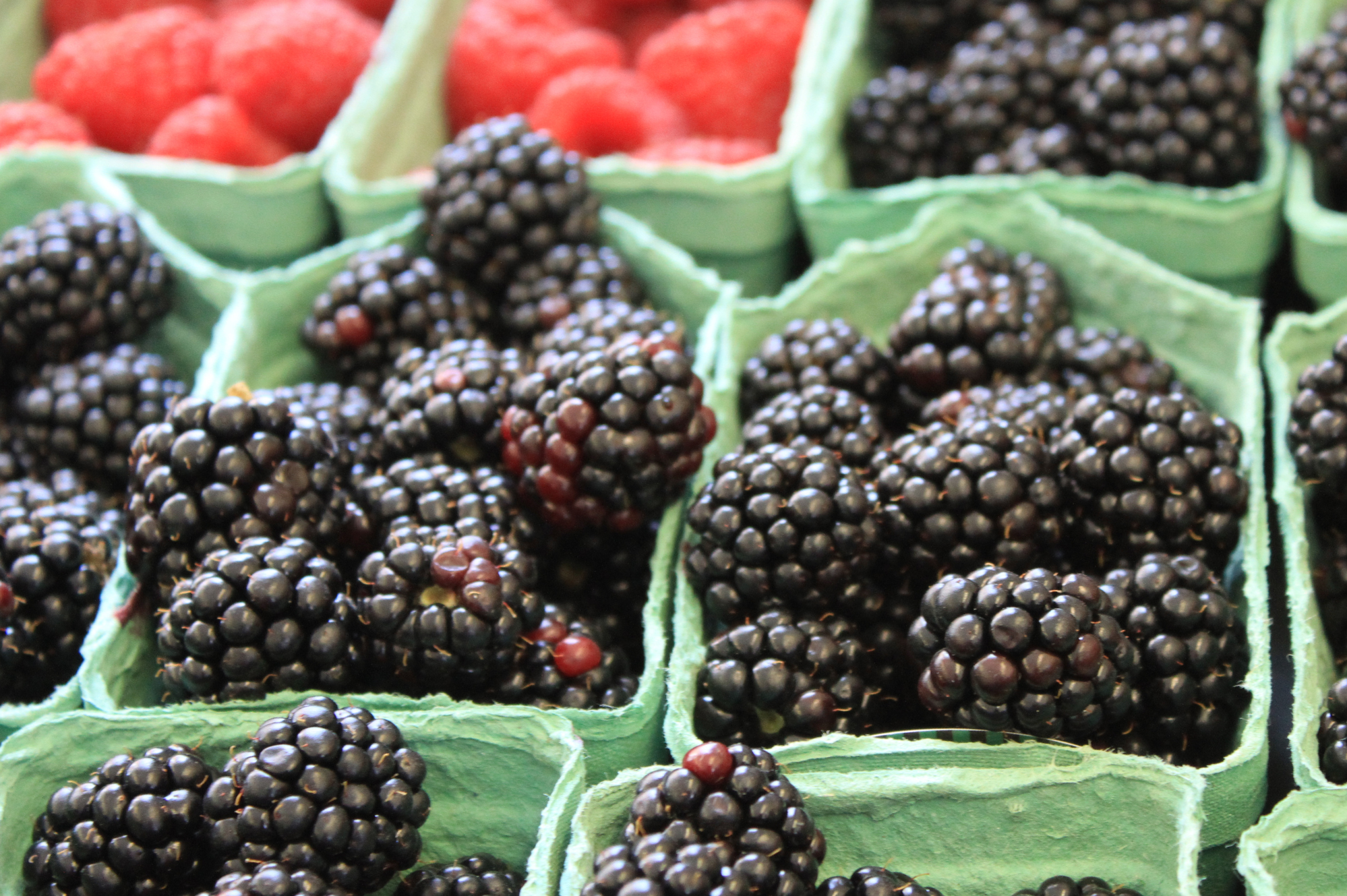 Blackberries in green containers at a market.