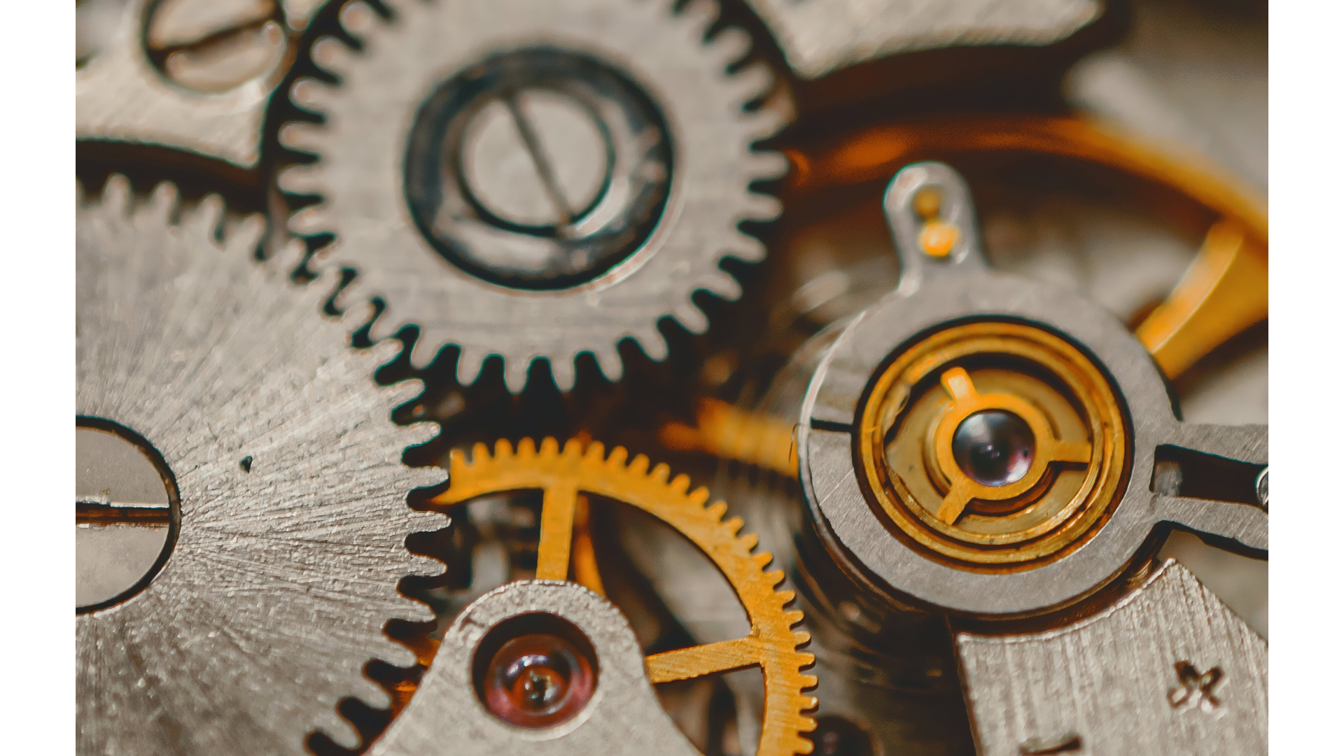 Finance & Performance Management