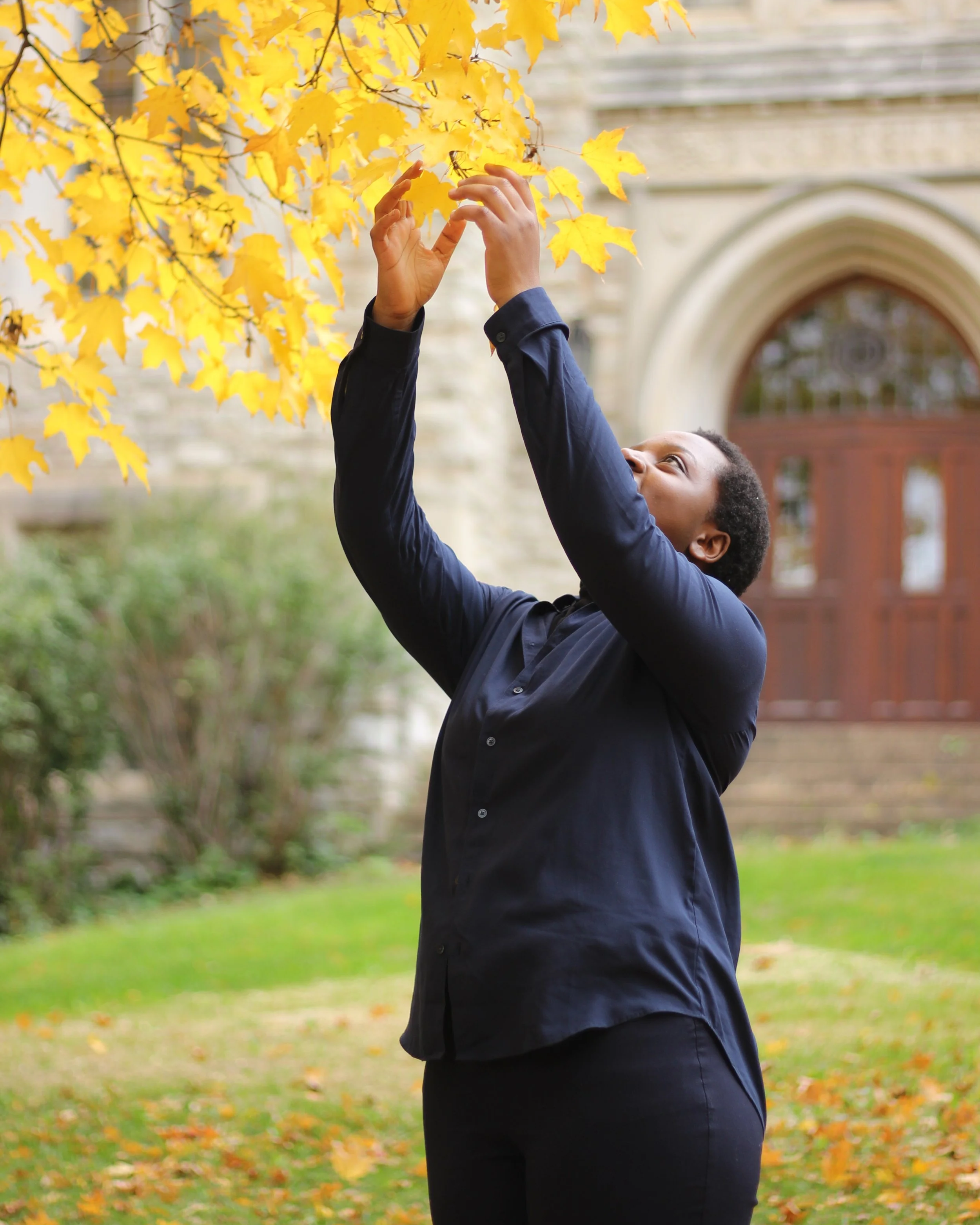 A person in a dark shirt reaching up and touching yellow autumn leaves on a tree outside in front of a building with an arched doorway.