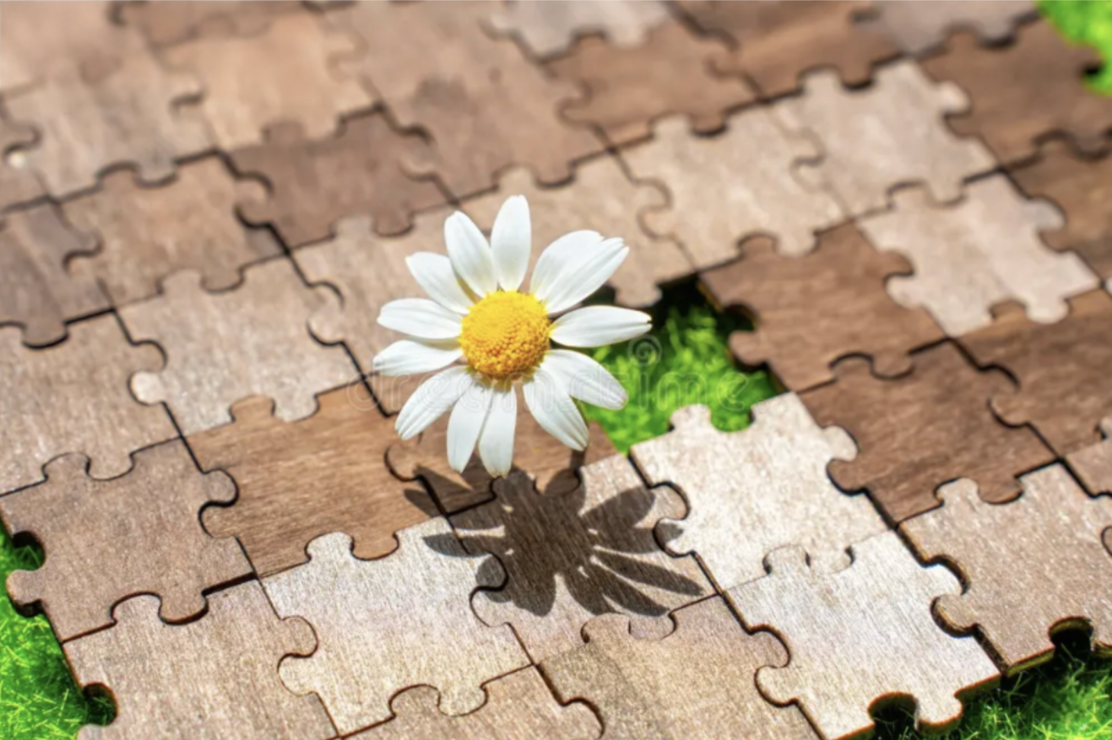 Sometimes Healing Begins When You Stop Forcing the Puzzle.