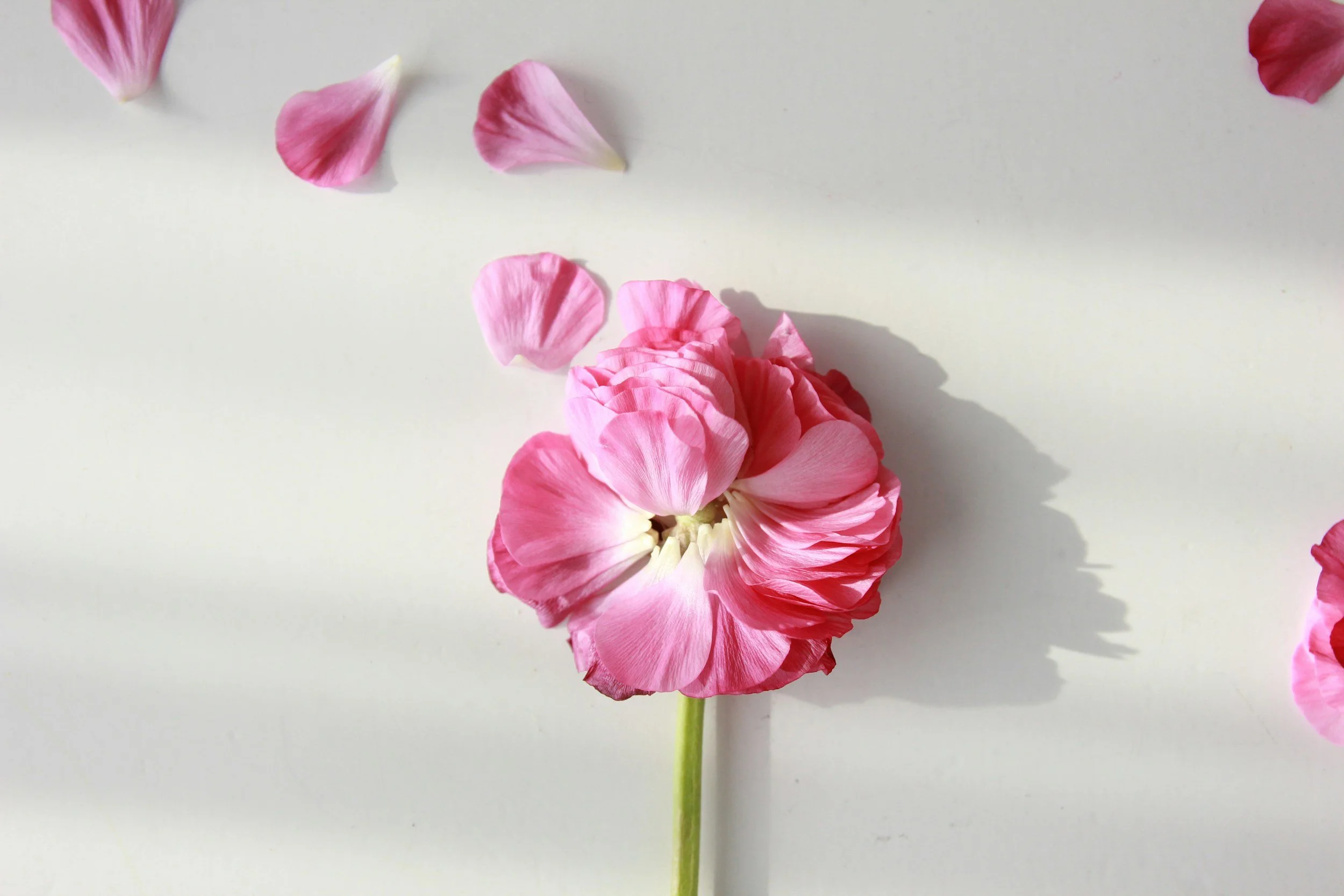 Compassion Before Understanding