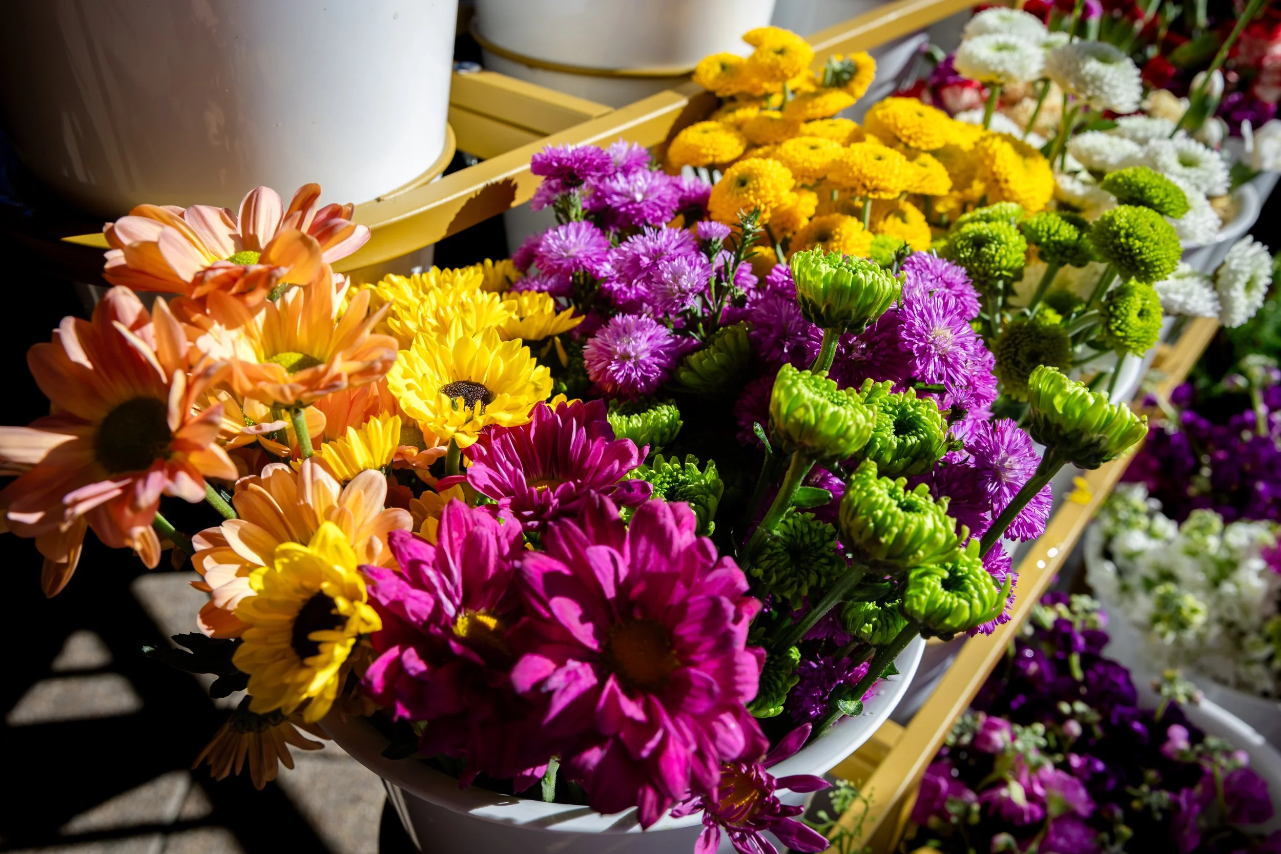 Blooms waiting to be picked for their bouquets 