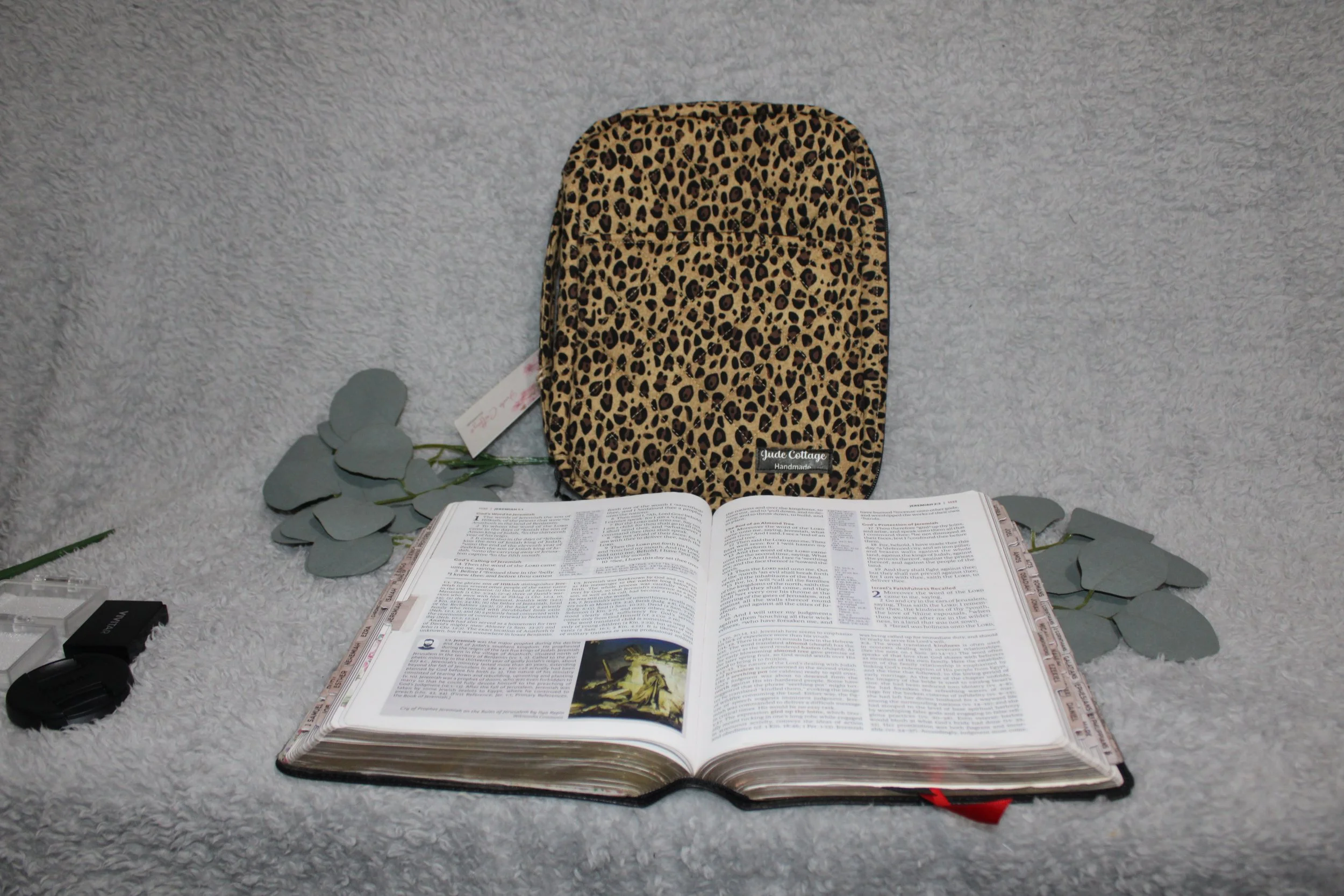 Sahara Study Bible Case