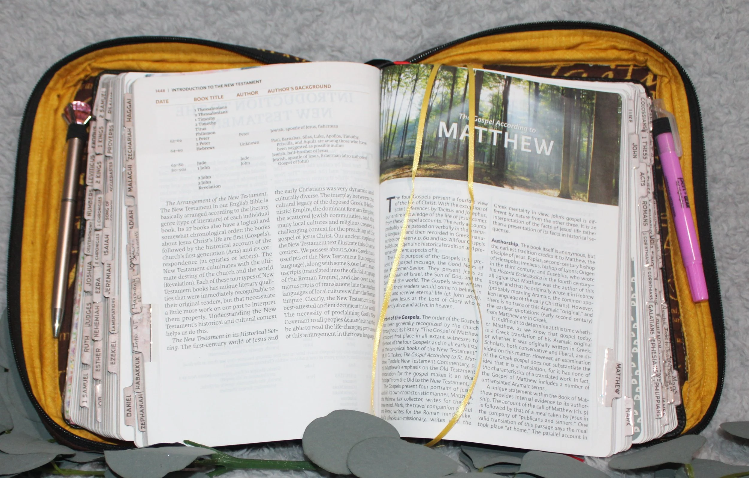 Open view of the Rejoice Study Bible Case with an open Bible inside and a gold ribbon marker resting on the gold interior lining.