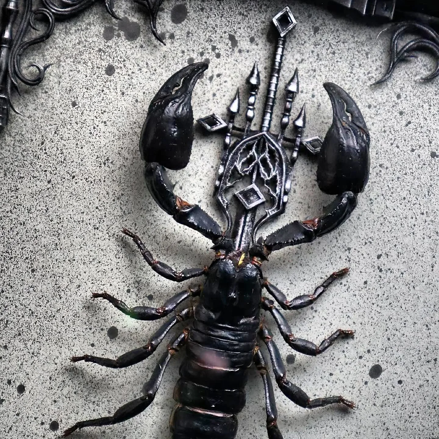 Don't miss out on last night's restock with some fan favourites back in stock! 🖤

Vietnam Forest Scorpion in stock now 👀

Check us out at www.dearafterlife.com