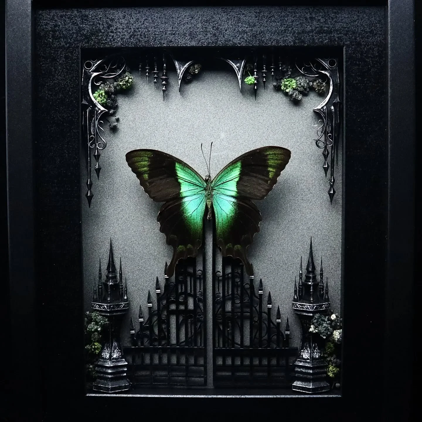 We will be @boofest.au today from 4pm - 9pm at @welcometothornbury so don't miss out on your chance to grab a frame and check out some amazing vendors! Grab your tickets at @boofest.au or simply pay at the door! See you then ☠️