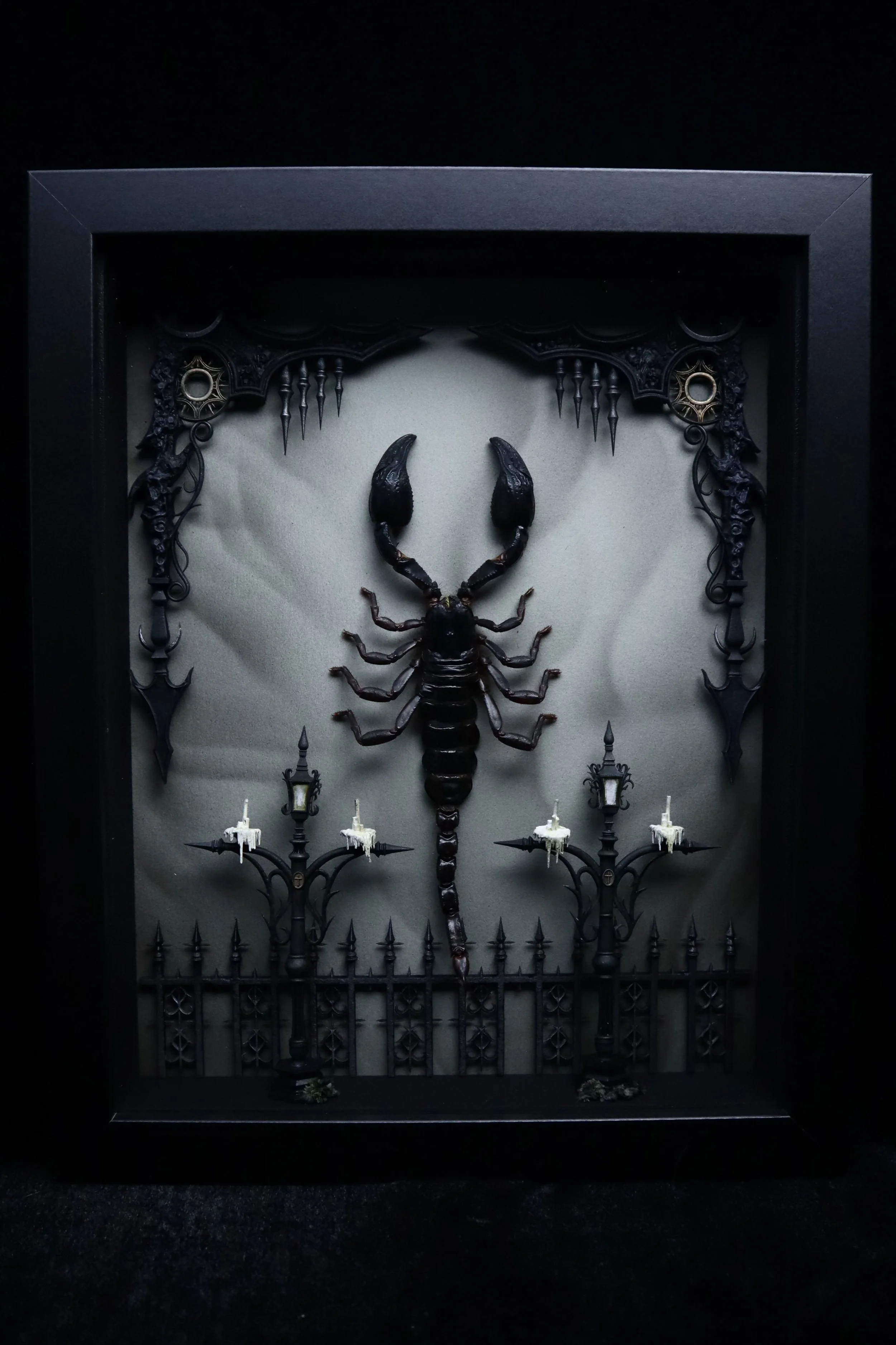 Vietnam Forest Scorpion