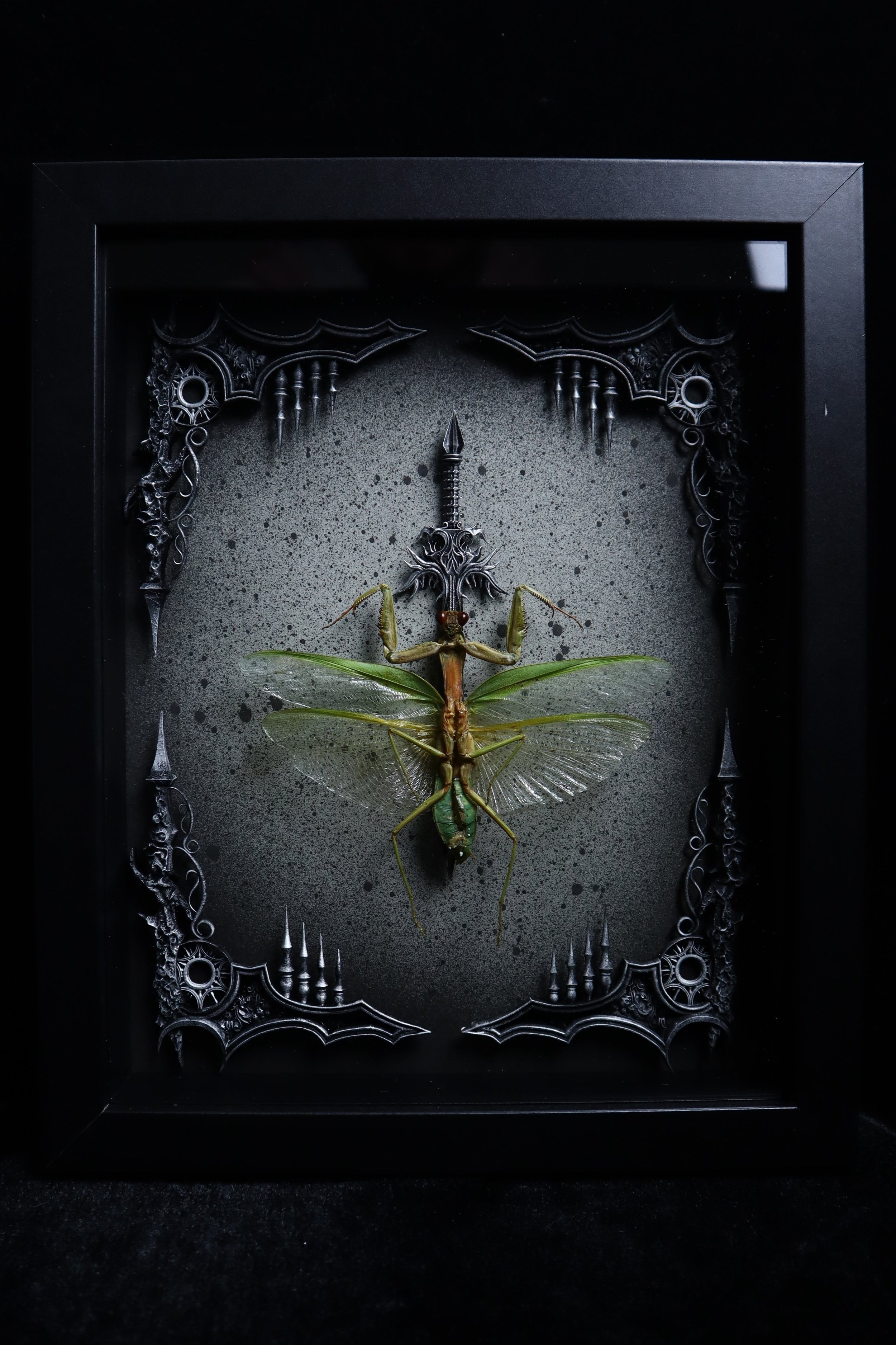 No Shield Shield Mantis