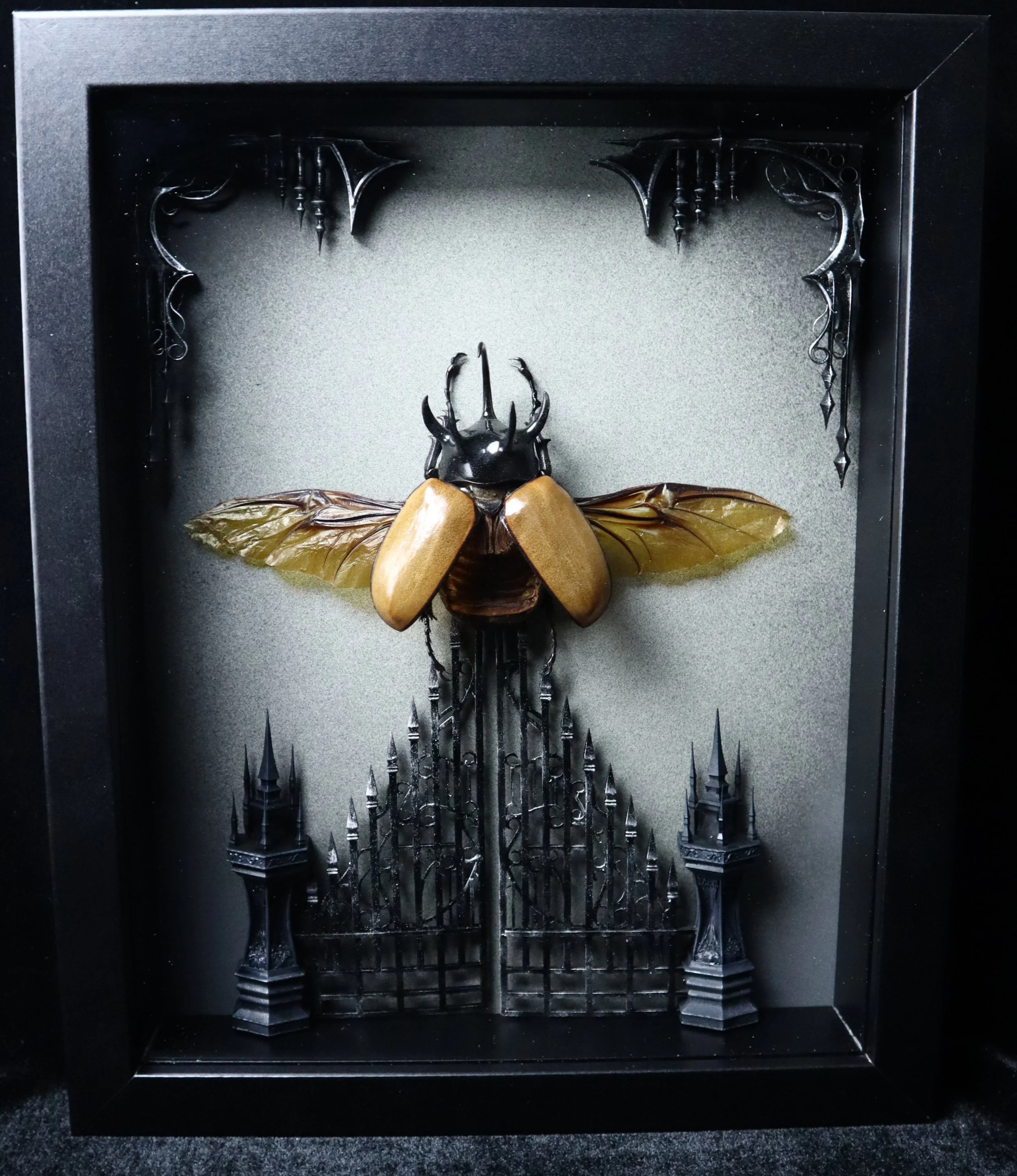 Five Horned Rhino Beetle