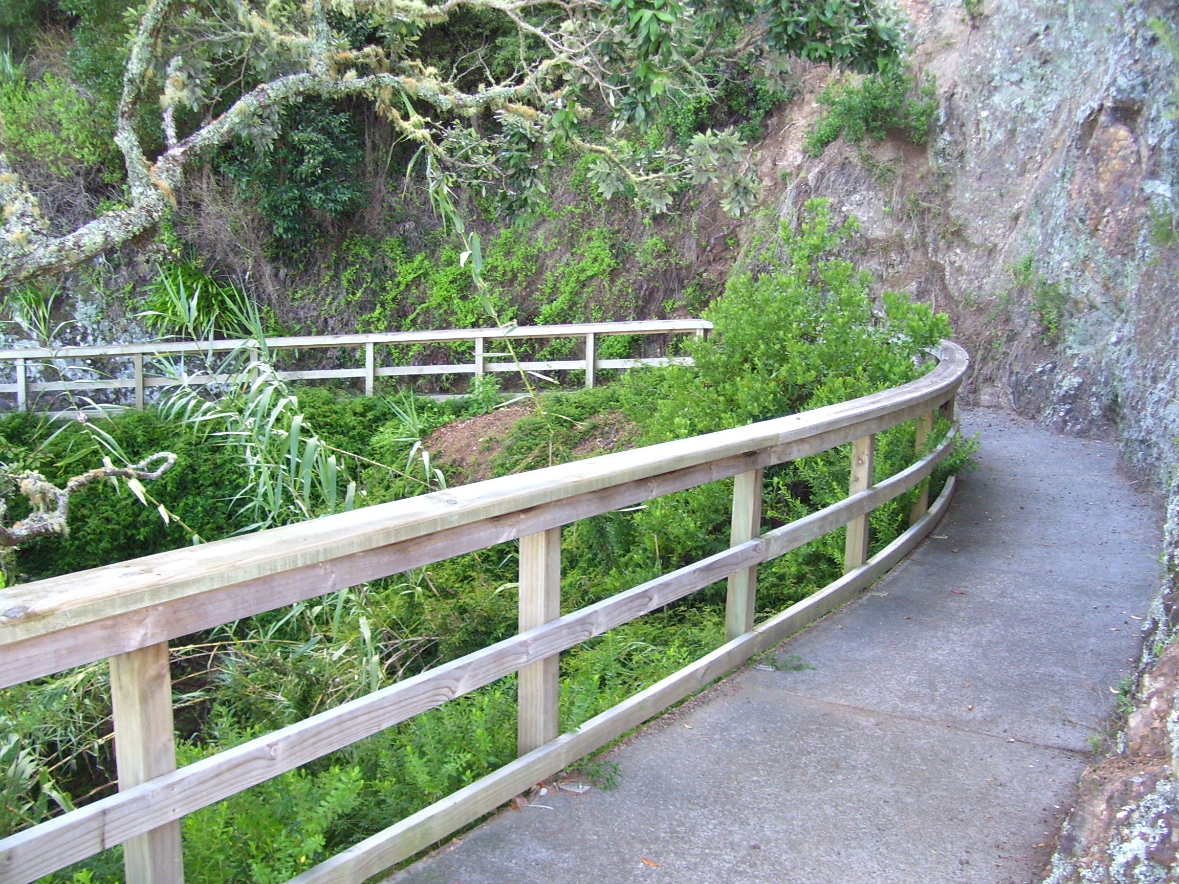 A curved walkway with a wooden railing on the side of a mountain trail, surrounded by green plants and trees.