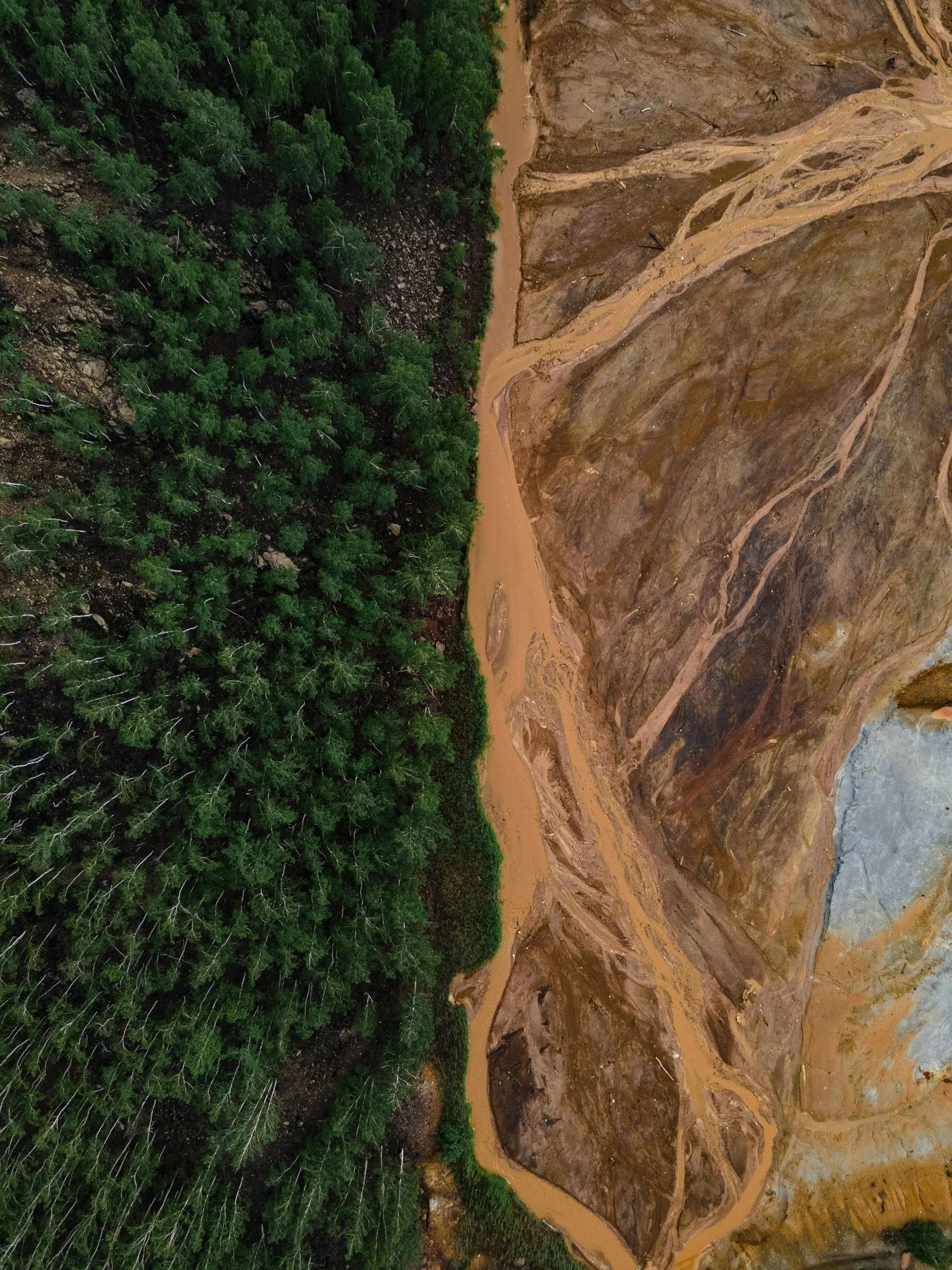Aerial view of a muddy river flowing through a barren, rocky canyon on the right, and a dense green forest on the left.