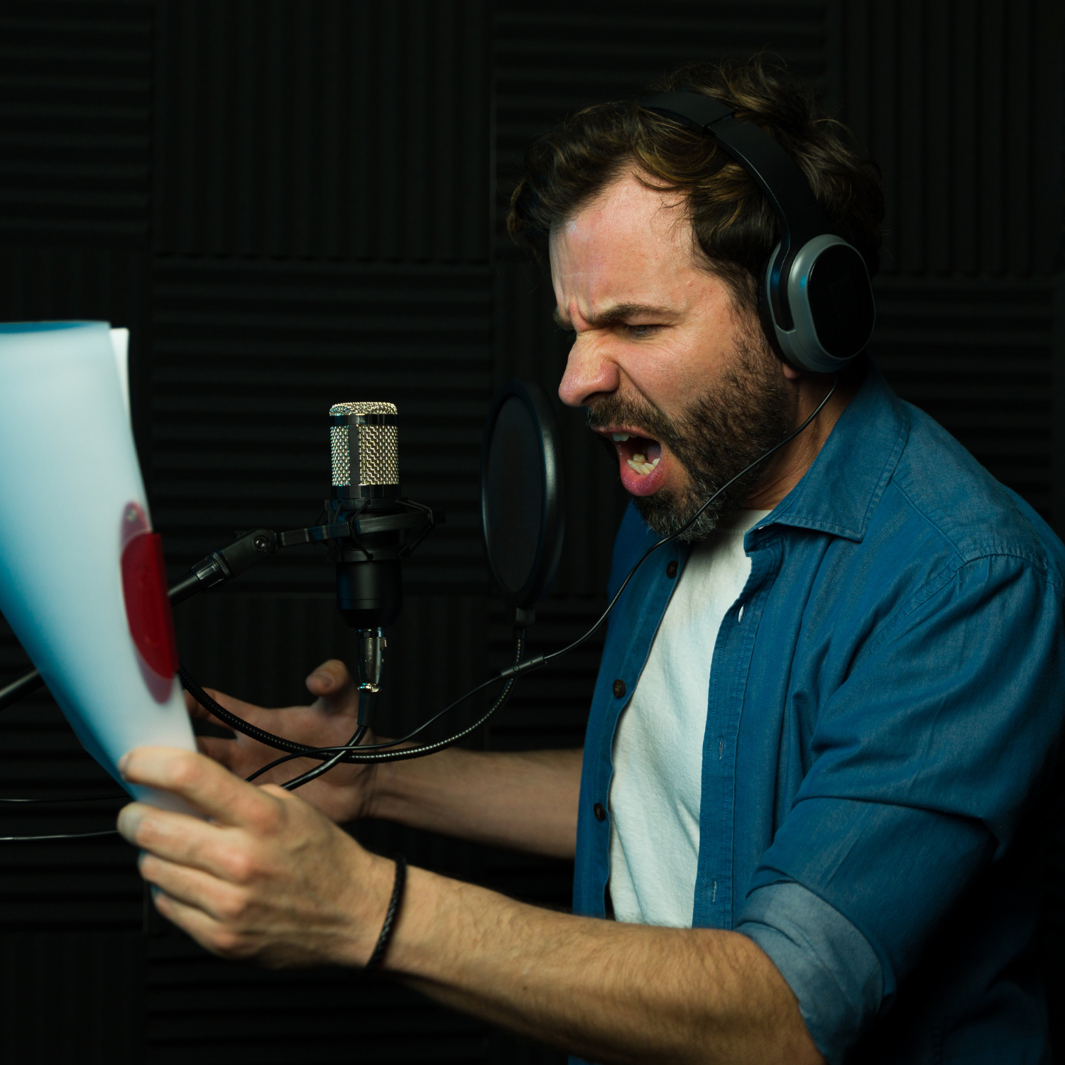 Casting Call Standards