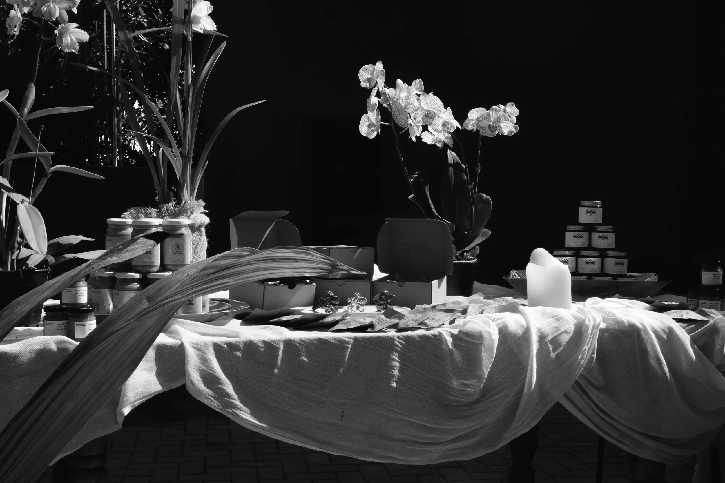 Black-and-white still life of SANA wellness products in labeled jars and boxes arranged on a linen-draped table with an orchid plant, a large candle, and a palm frond.